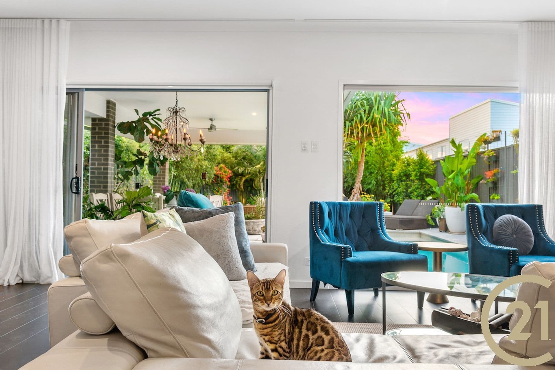 161  Turner Street, Scarborough, QLD, 4020, Scarborough - Thumbnail 3