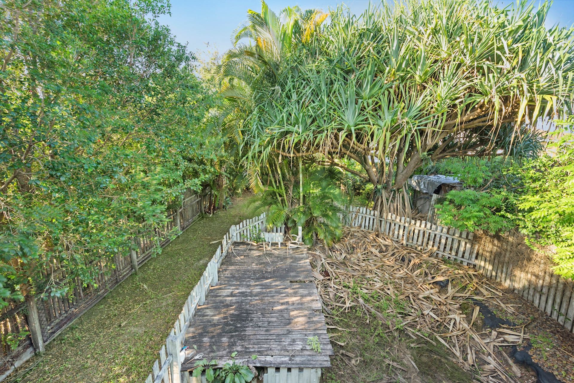 168 Prince Edward Parade, Scarborough, QLD, 4020, Scarborough - Thumbnail 6