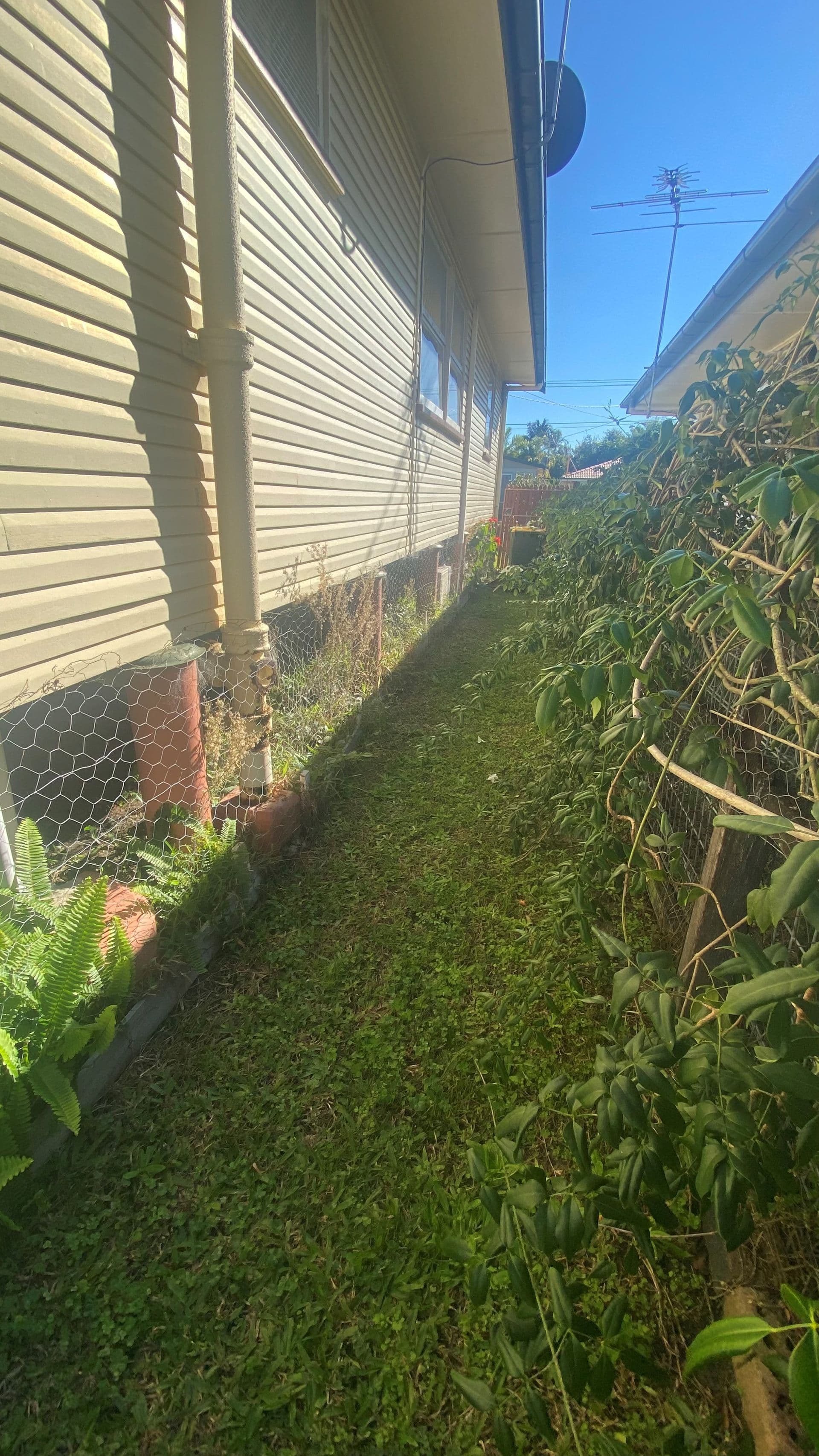 23 Ella Street, Redcliffe, QLD, 4020, Redcliffe - Thumbnail 4