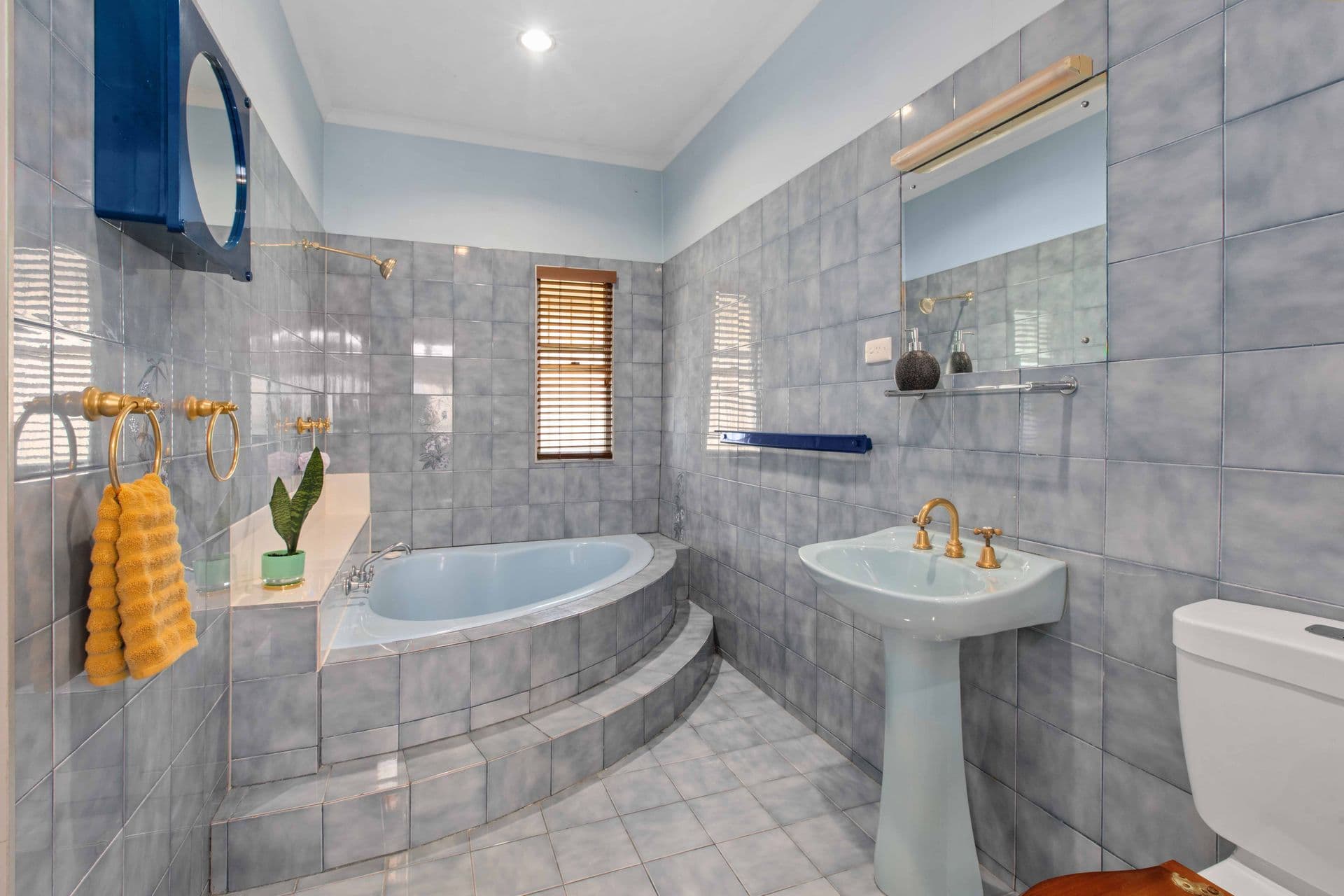 17 MacDonnell Road, Margate, QLD, 4019, Margate - Thumbnail 8