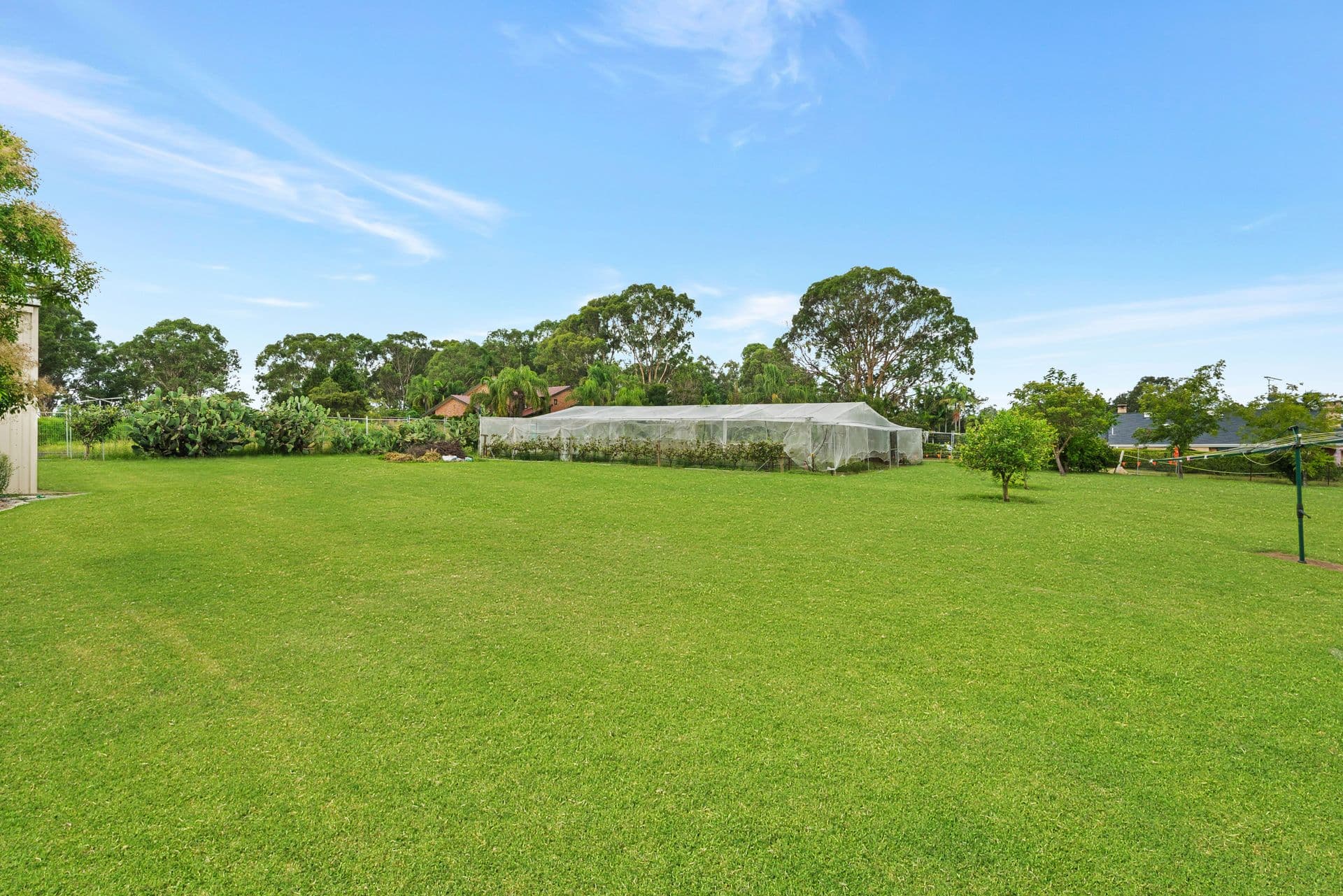 19 Heatherfield Close, Catherine Field, NSW, 2557, Catherine Field - Thumbnail 4
