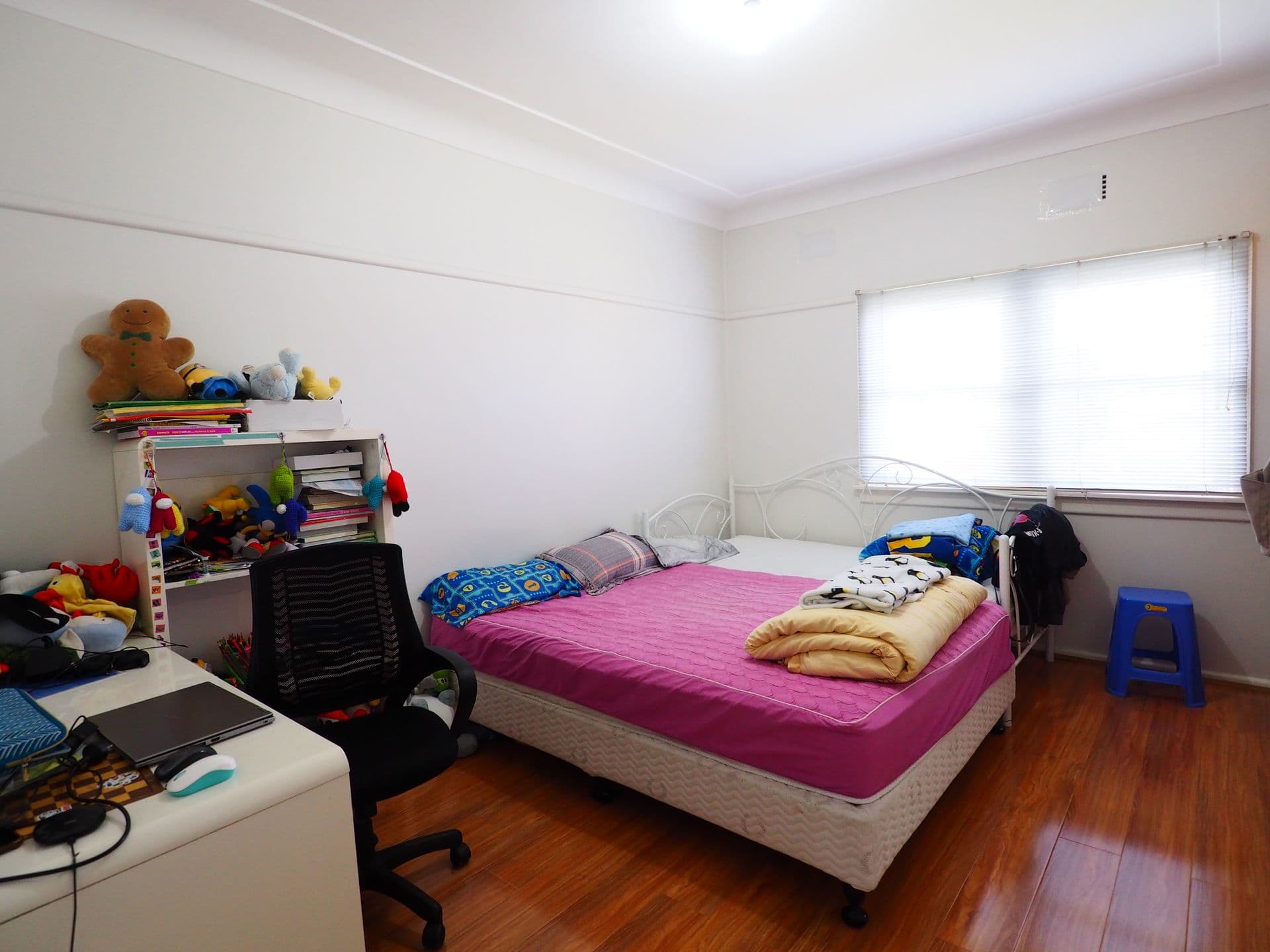 21 Carabeen Street, Cabramatta, NSW, 2166, Cabramatta - Thumbnail 5