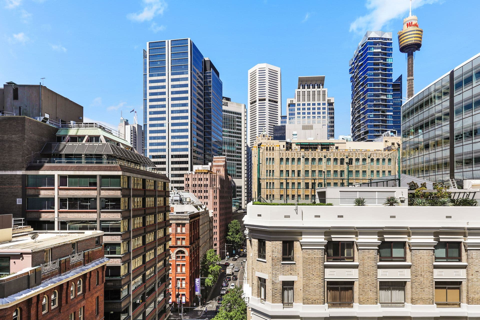 1566/37 King Street, Sydney, NSW, 2000, Sydney - Image 1