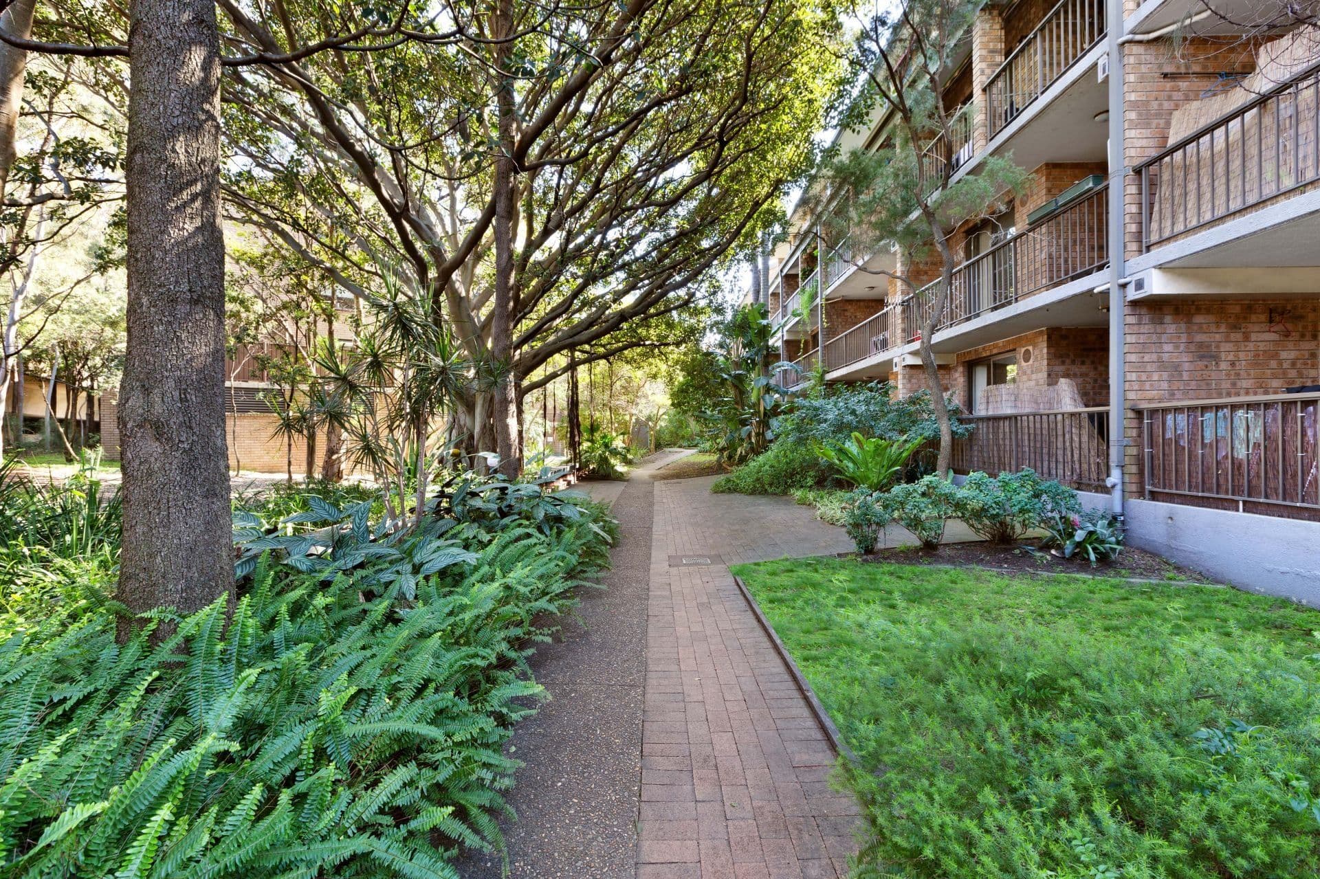 66/313 Harris Street, Pyrmont, NSW, 2009, Pyrmont - Image 1