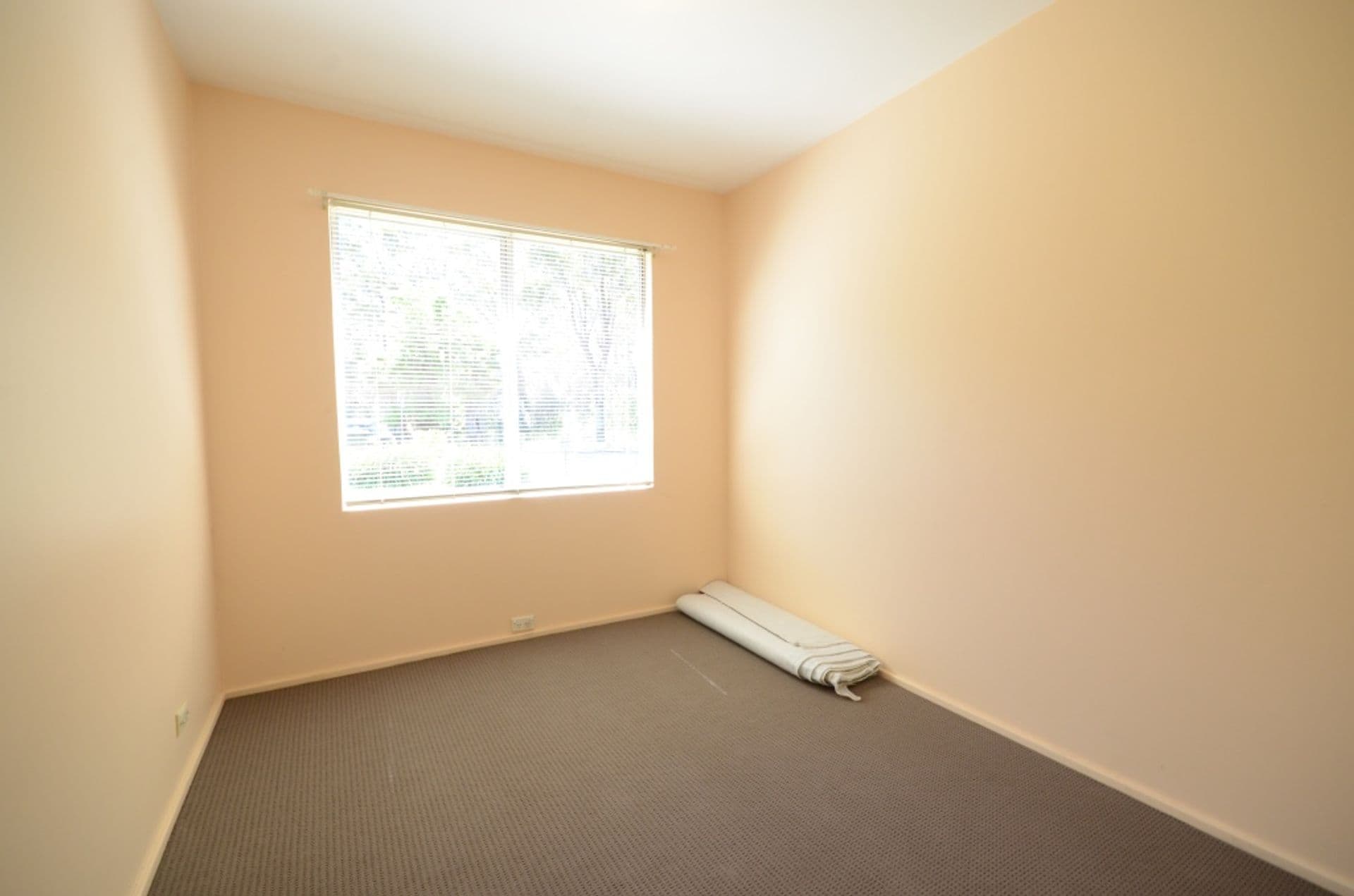 134  Macquarie Road, Greystanes, NSW, 2145, Greystanes - Thumbnail 6
