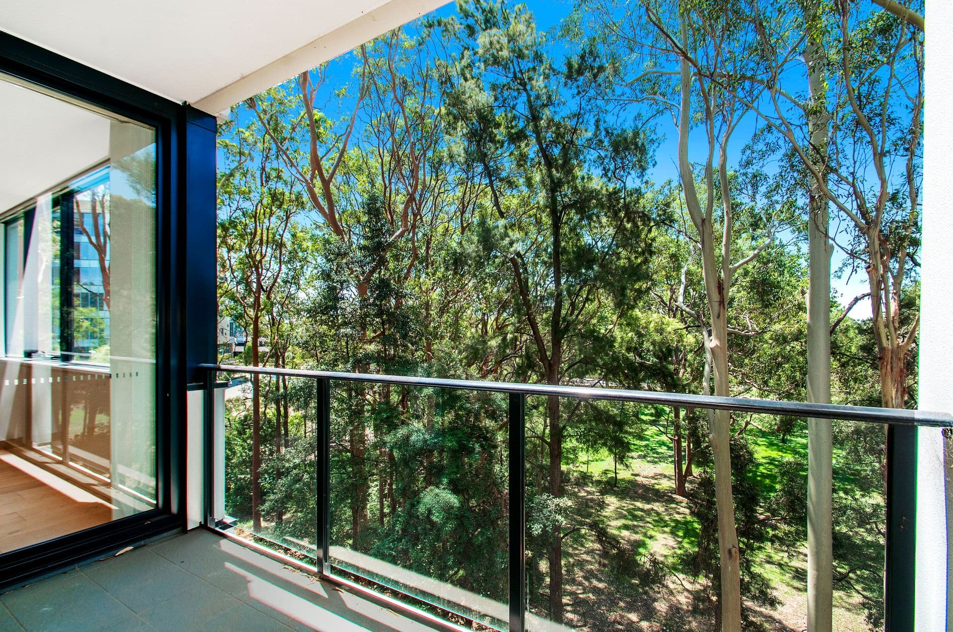 308/8 Saunders Close, Macquarie Park, NSW, 2113, Macquarie Park - Thumbnail 6