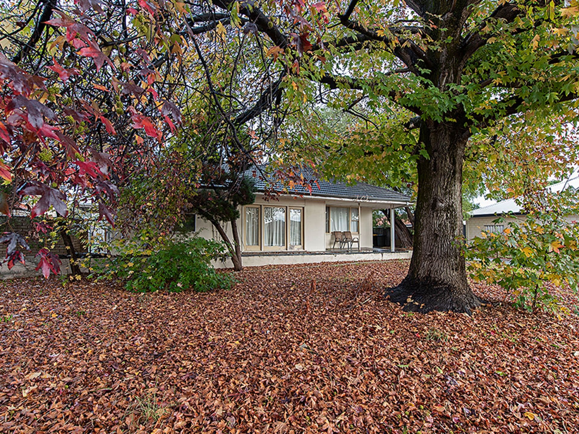 4/55 Archer Street, Carlisle, WA, 6101, Carlisle - Thumbnail 5