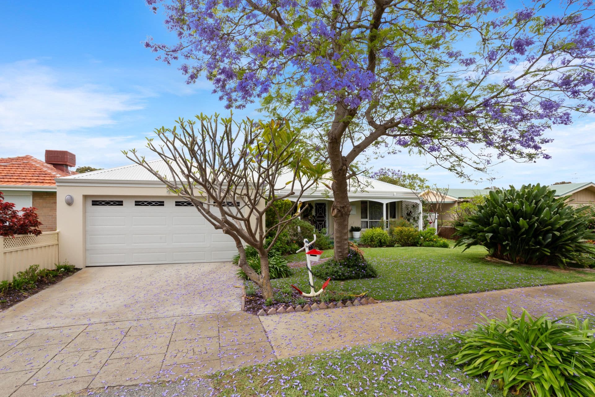 16 Appleton Street, Carlisle, WA, 6101, Carlisle - Thumbnail 5
