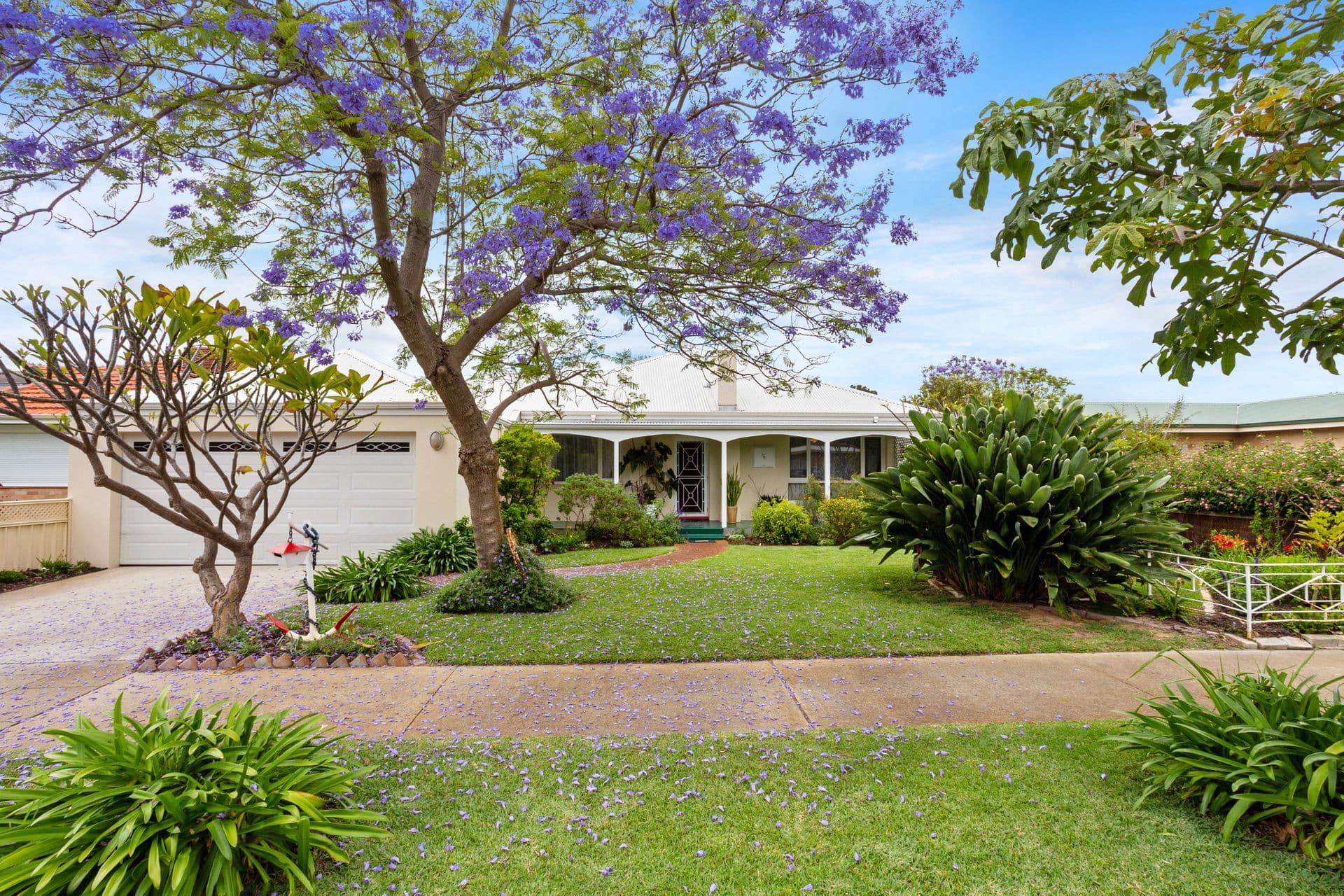 16 Appleton Street, Carlisle, WA, 6101, Carlisle - Image 1