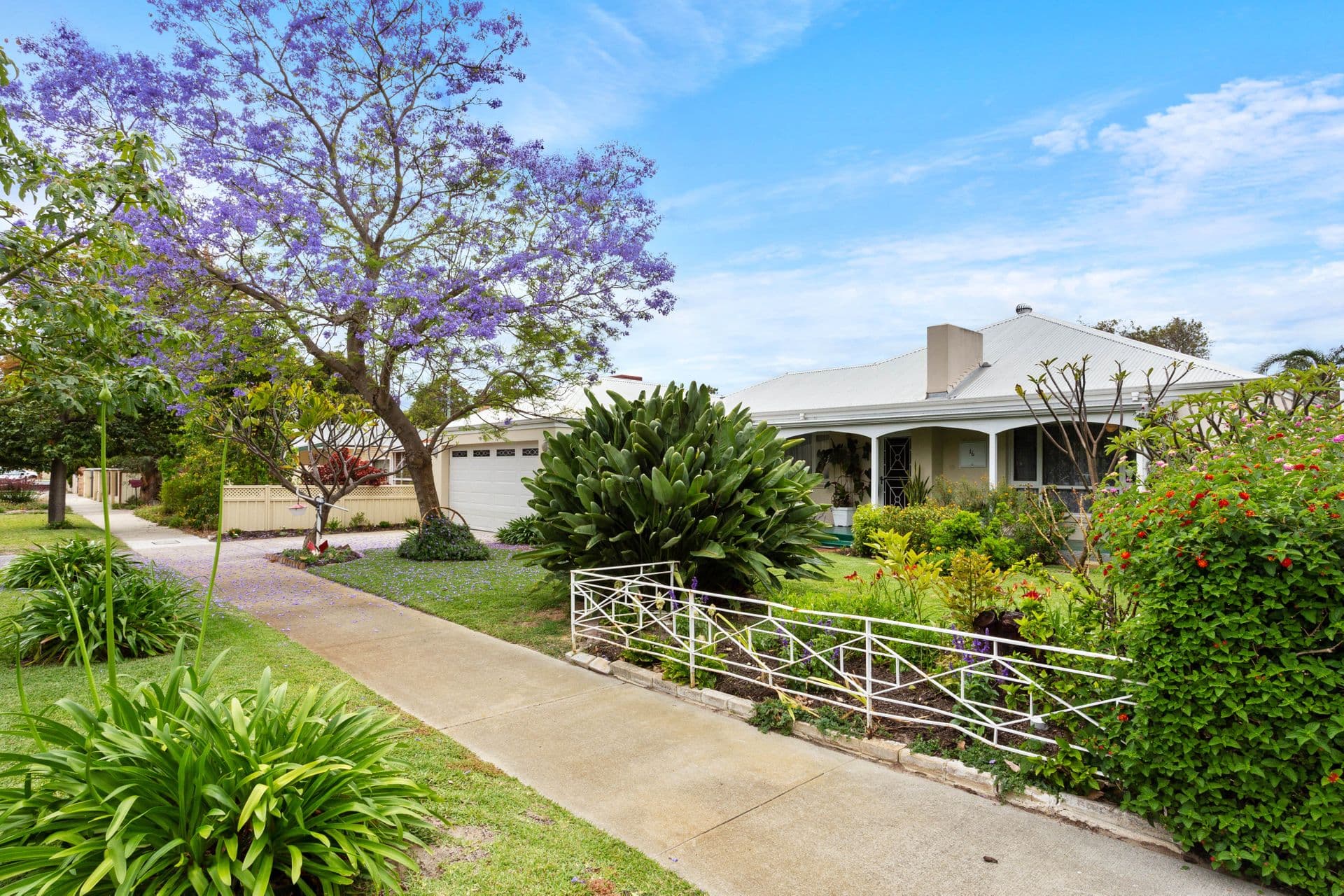 16 Appleton Street, Carlisle, WA, 6101, Carlisle - Thumbnail 6