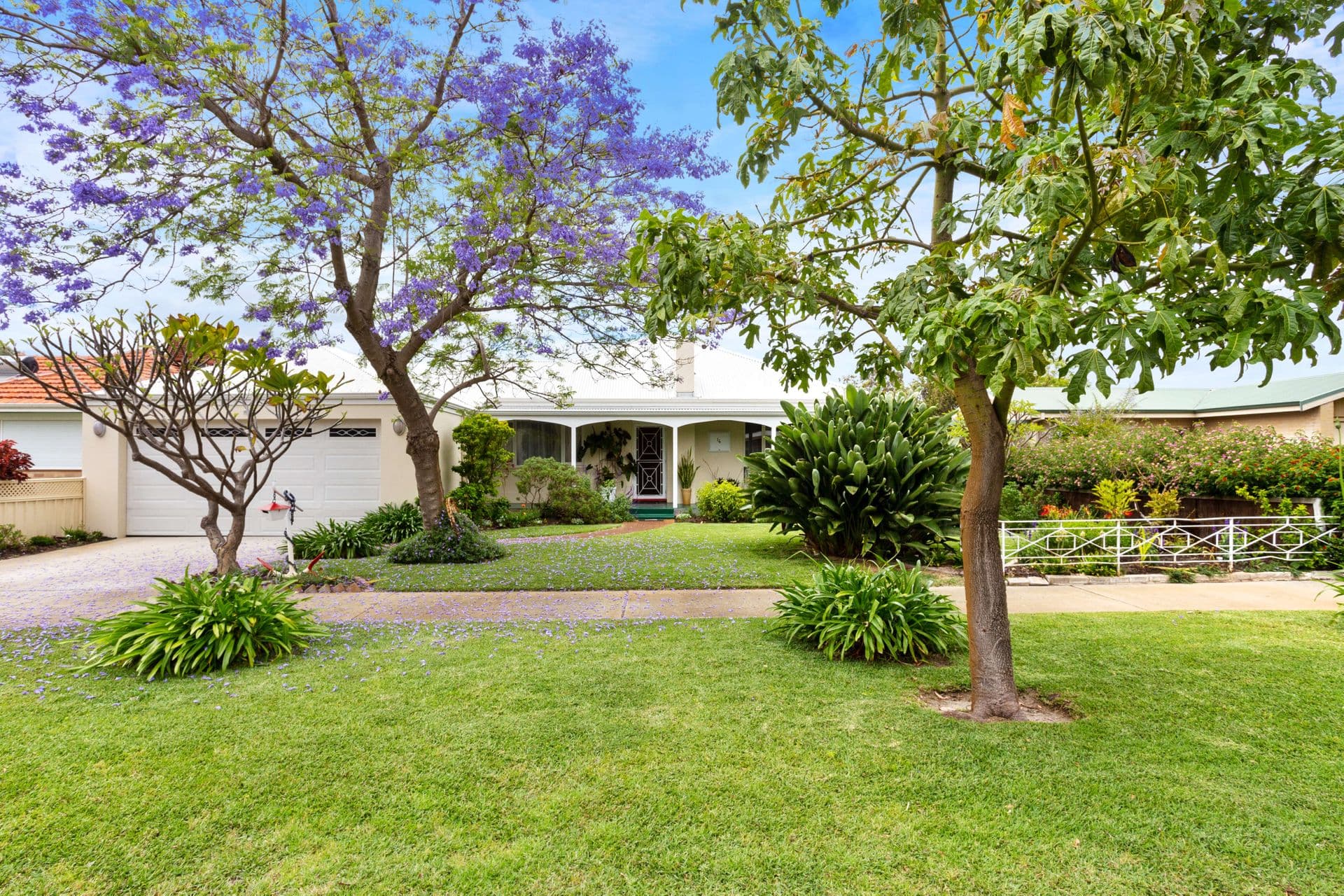 16 Appleton Street, Carlisle, WA, 6101, Carlisle - Thumbnail 7