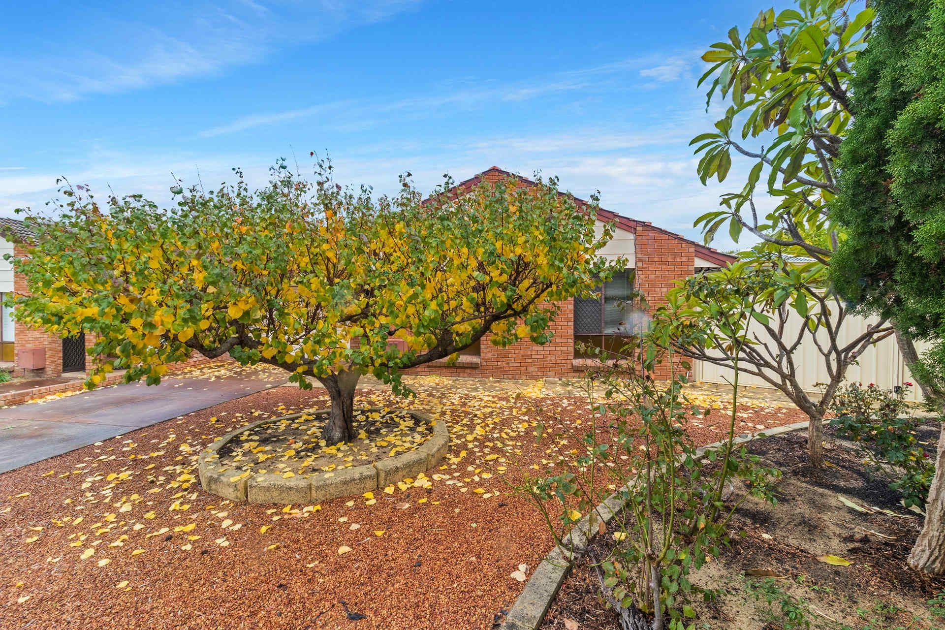 4/55 Archer Street, Carlisle, WA, 6101, Noranda - Thumbnail 3