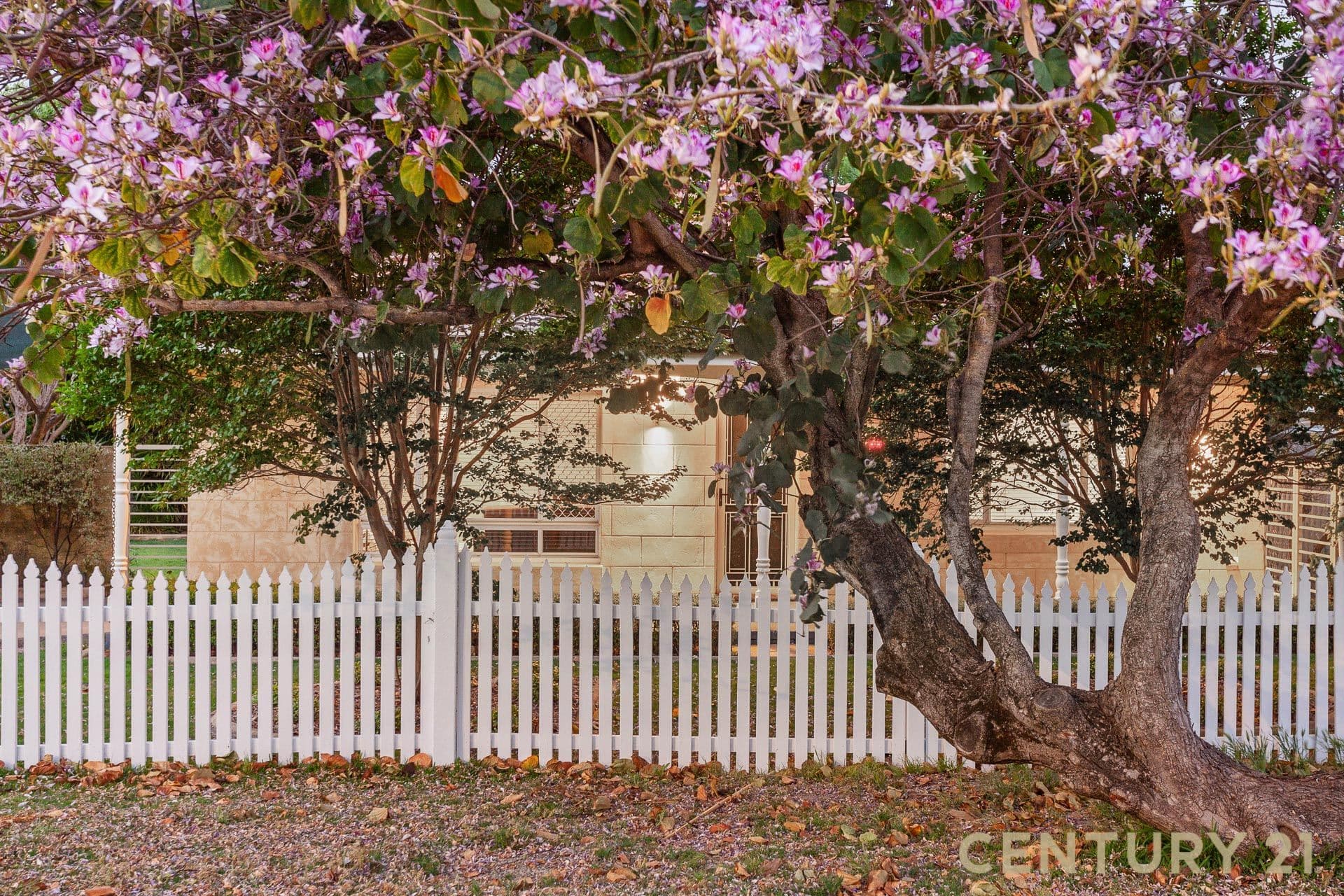 4/55 Archer Street, Carlisle, WA, 6101, Carlisle - Thumbnail 3