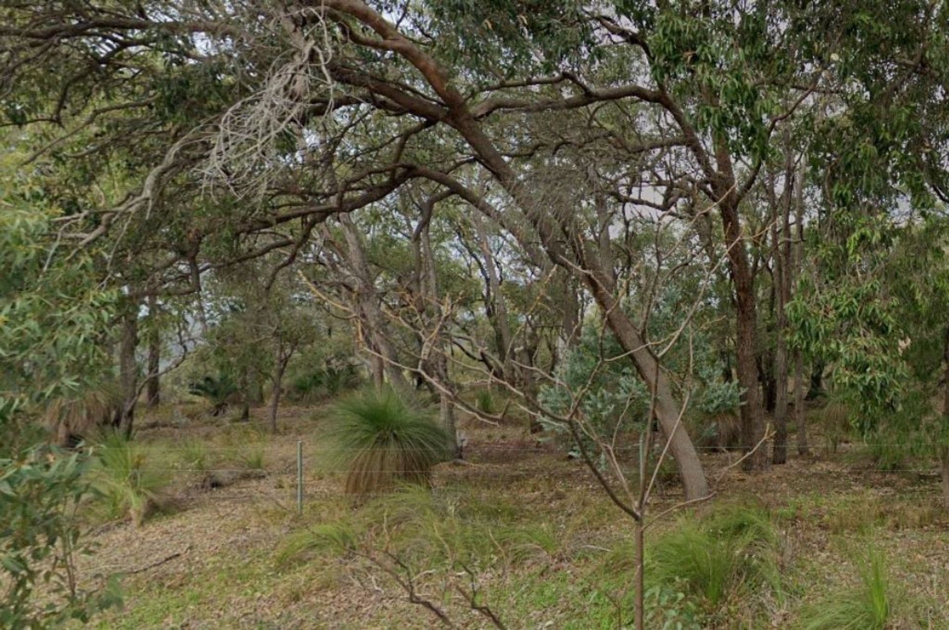 4/55 Archer Street, Carlisle, WA, 6101, Gooseberry Hill - Thumbnail 3