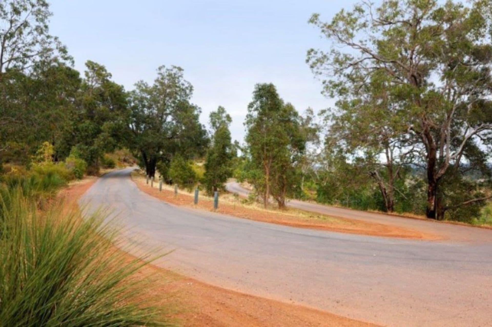 4/55 Archer Street, Carlisle, WA, 6101, Gooseberry Hill - Thumbnail 5
