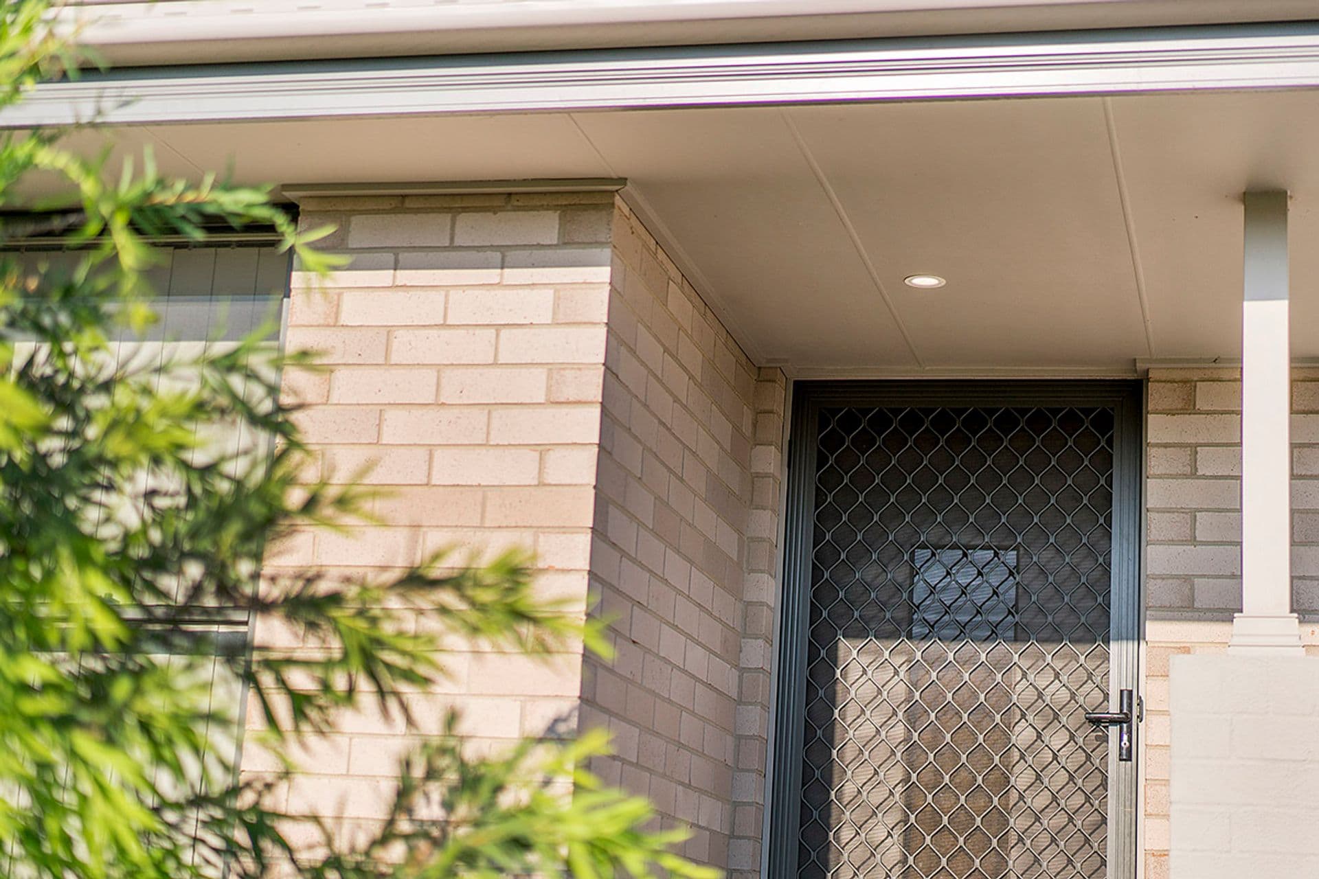 67 Niven Parade, Rutherford, NSW, 2320, Rutherford - Thumbnail 3