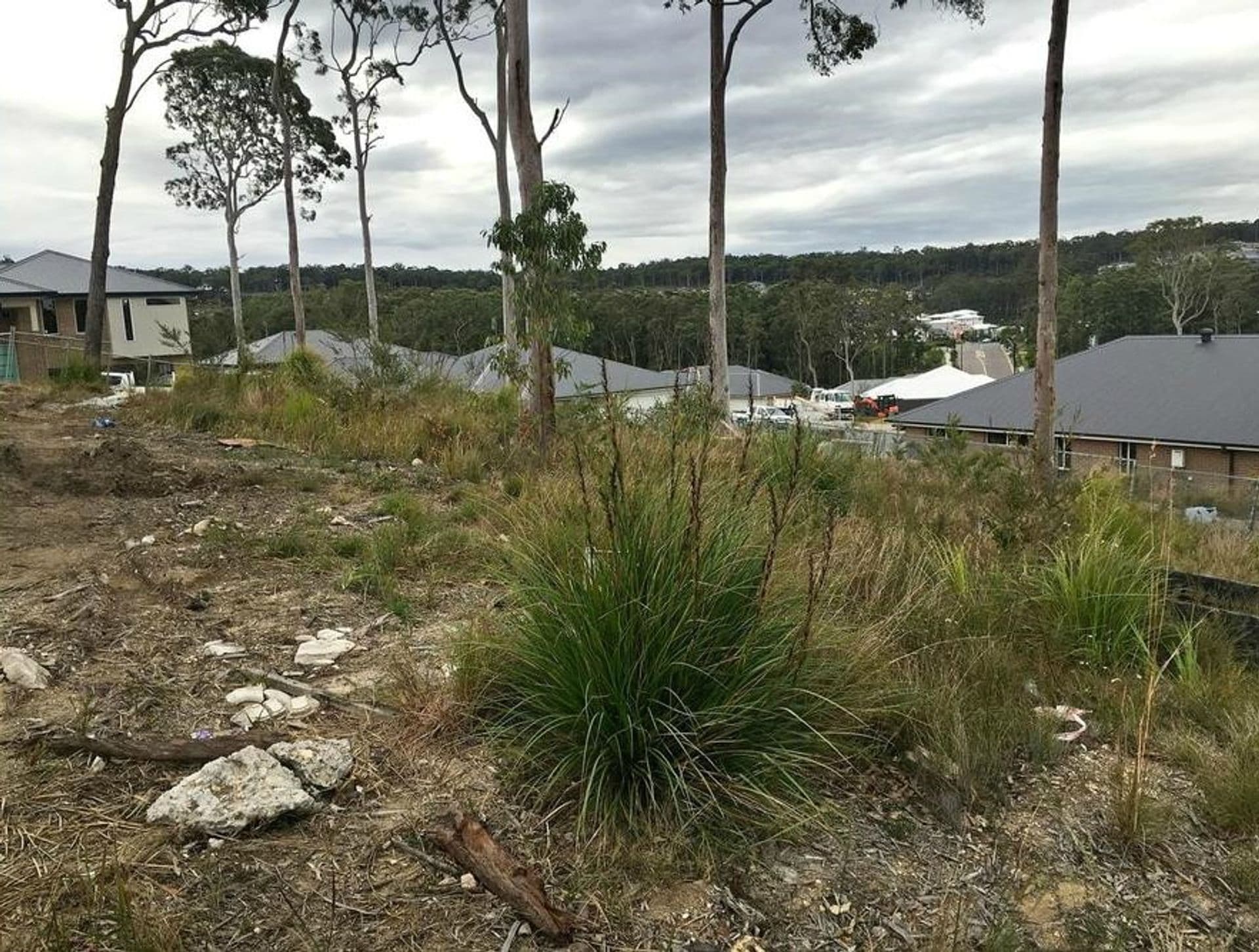 9 Bellavia Street, Cameron Park, NSW, 2285, Cameron Park - Thumbnail 5