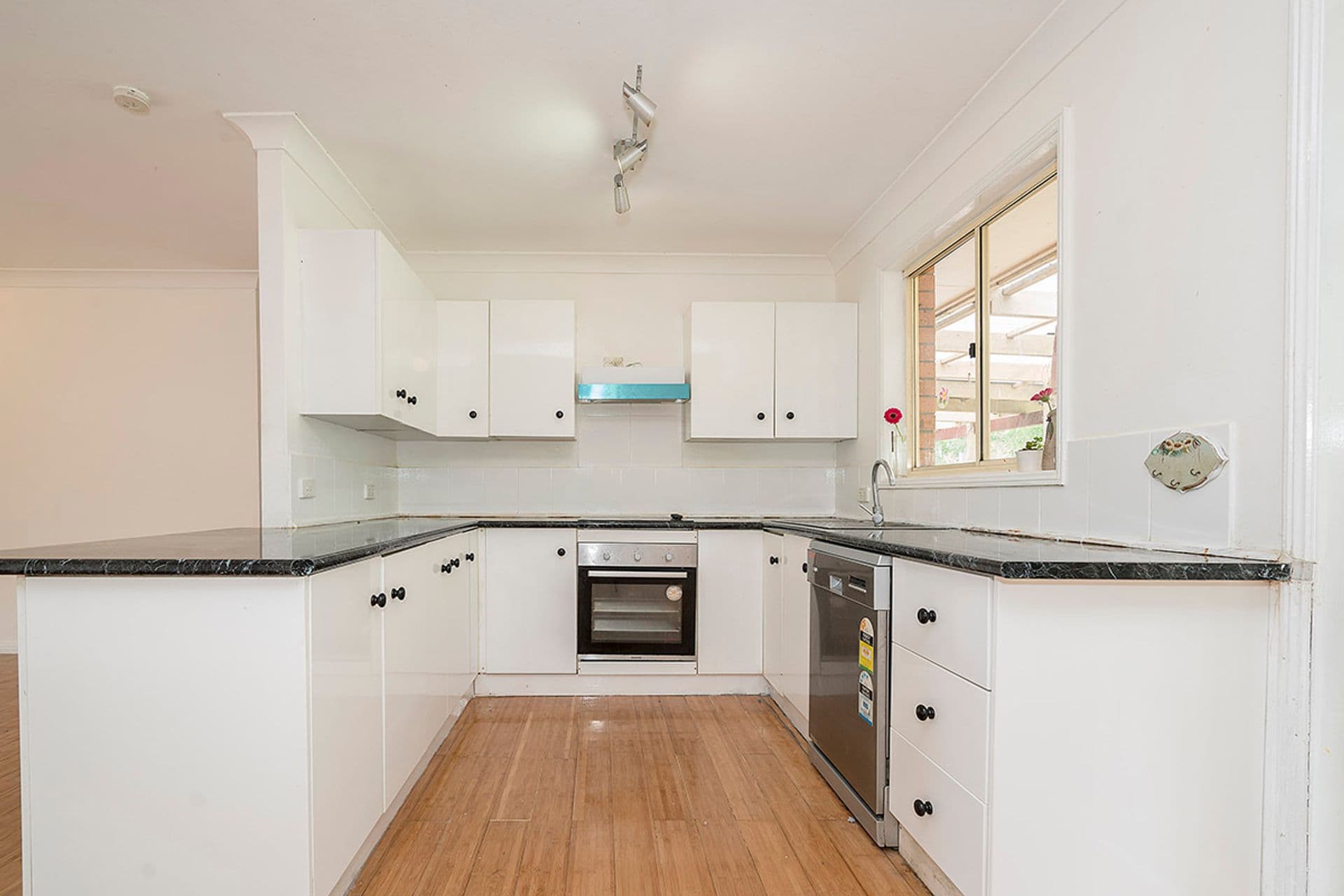 12 Bulwara Place, Bolton Point, NSW, 2283, Bolton Point - Thumbnail 3