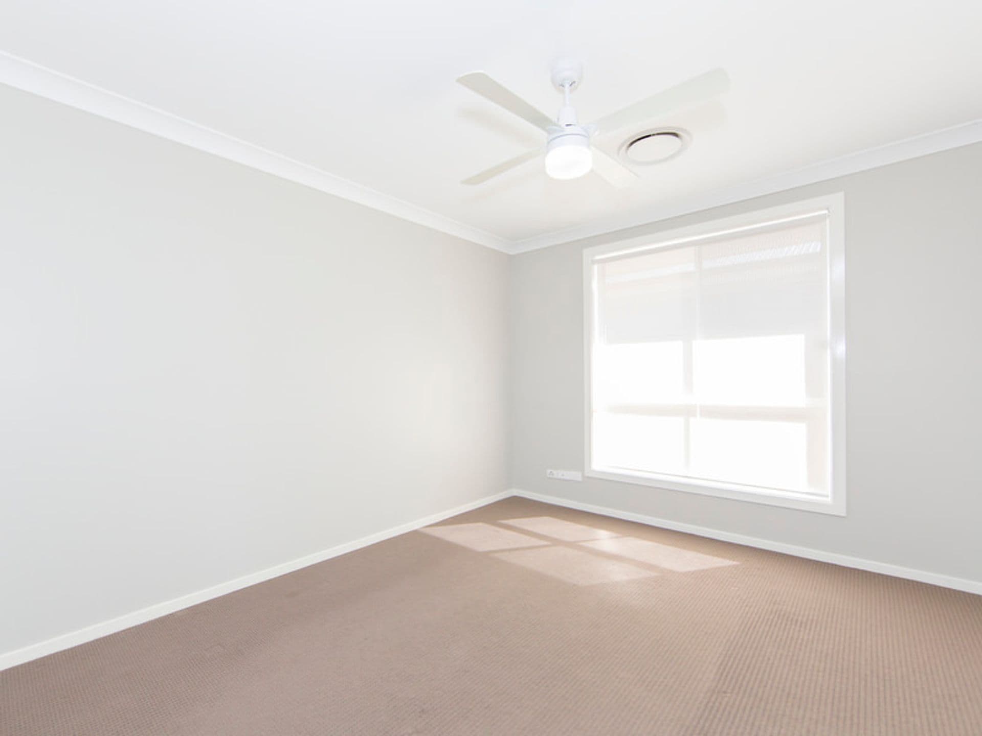 6 Warbler Avenue, Aberglasslyn, NSW, 2320, Aberglasslyn - Thumbnail 7