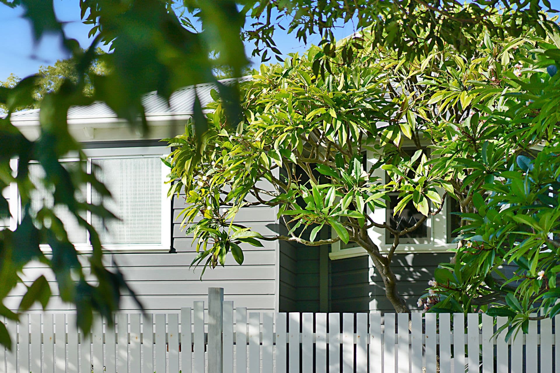 109 Cameron Street, Wallsend, NSW, 2287, Wallsend - Thumbnail 2