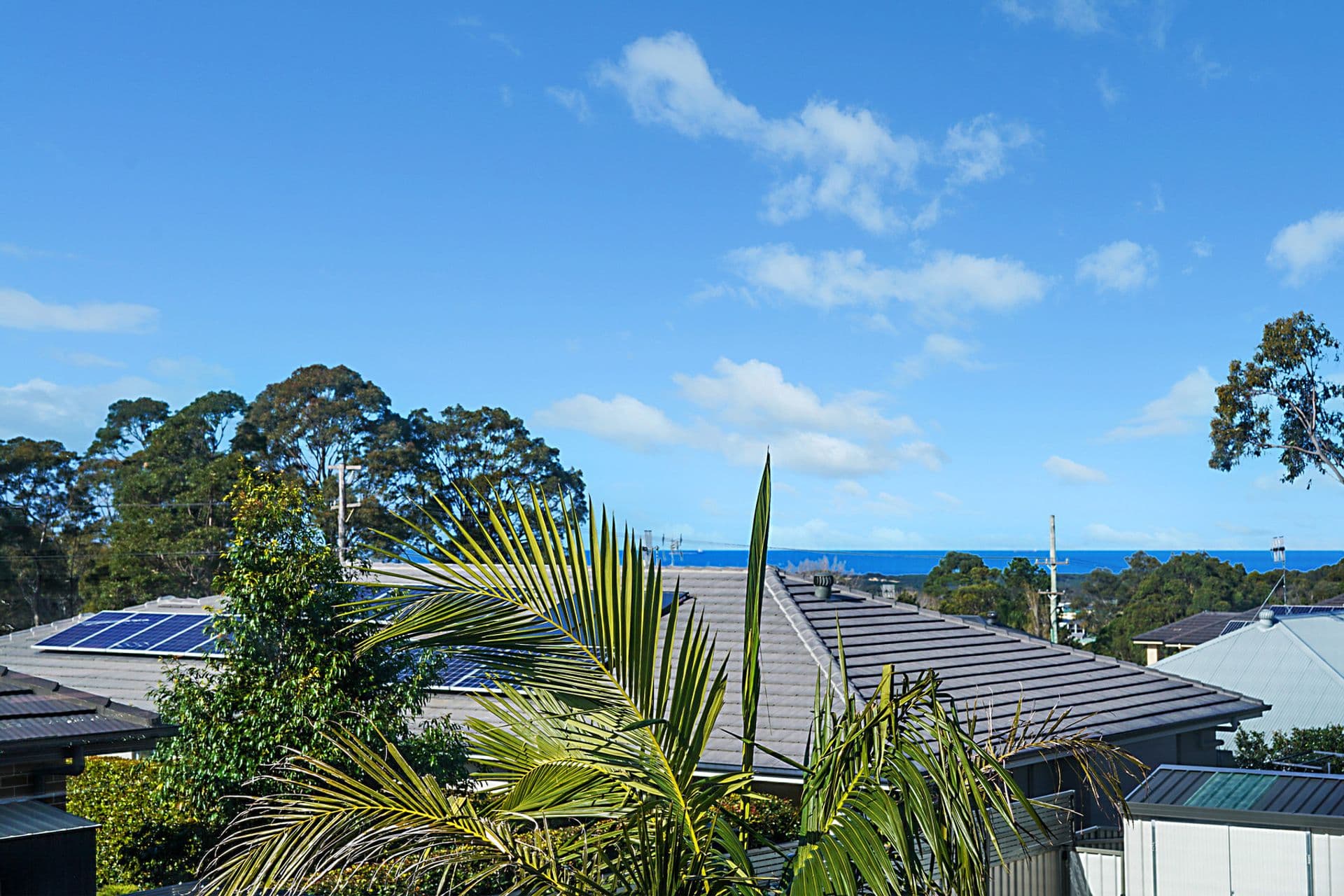 27 Camberwarra Drive, Belmont North, NSW, 2280, Belmont North - Thumbnail 5