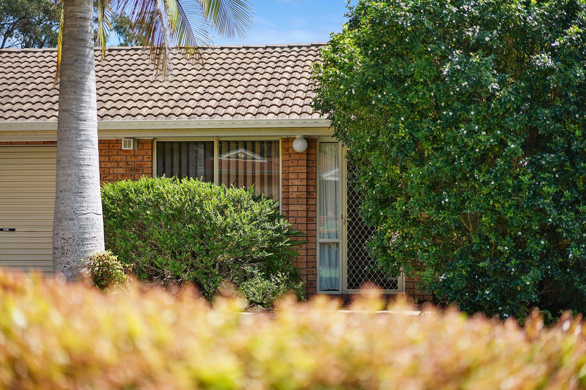2 Oliver Place, Wallsend, NSW, 2287, Wallsend - Thumbnail 2