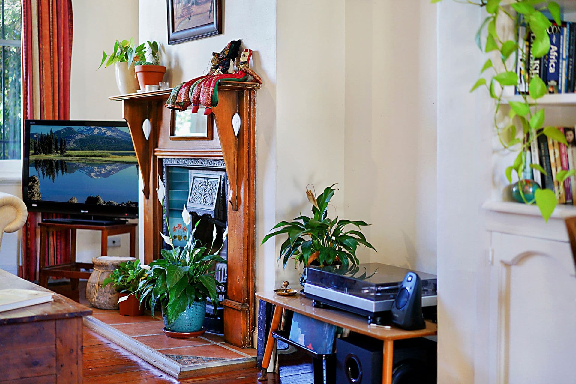 31 Gibson Street, Cooks Hill, NSW, 2300, Cooks Hill - Thumbnail 5