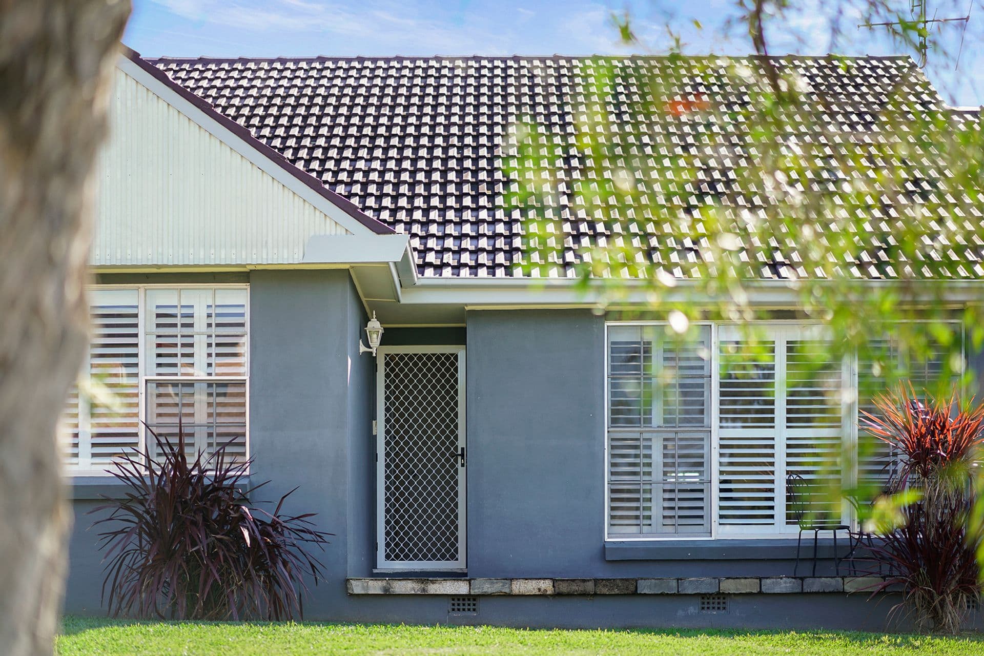 1 Sacramento Avenue, Macquarie Hills, NSW, 2285, Macquarie Hills - Thumbnail 2