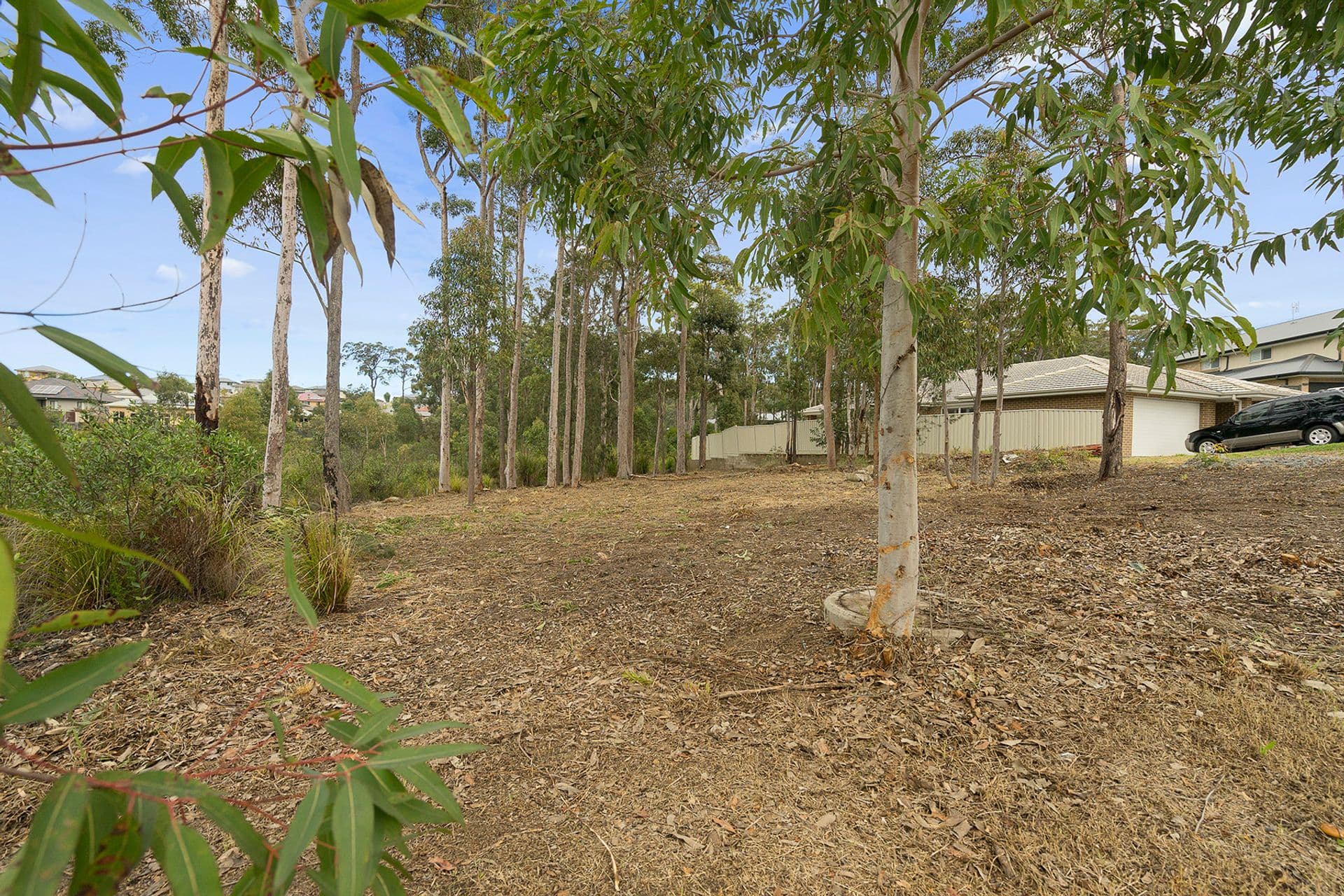 3 Confidence Street, Cameron Park, NSW, 2285, Cameron Park - Thumbnail 6