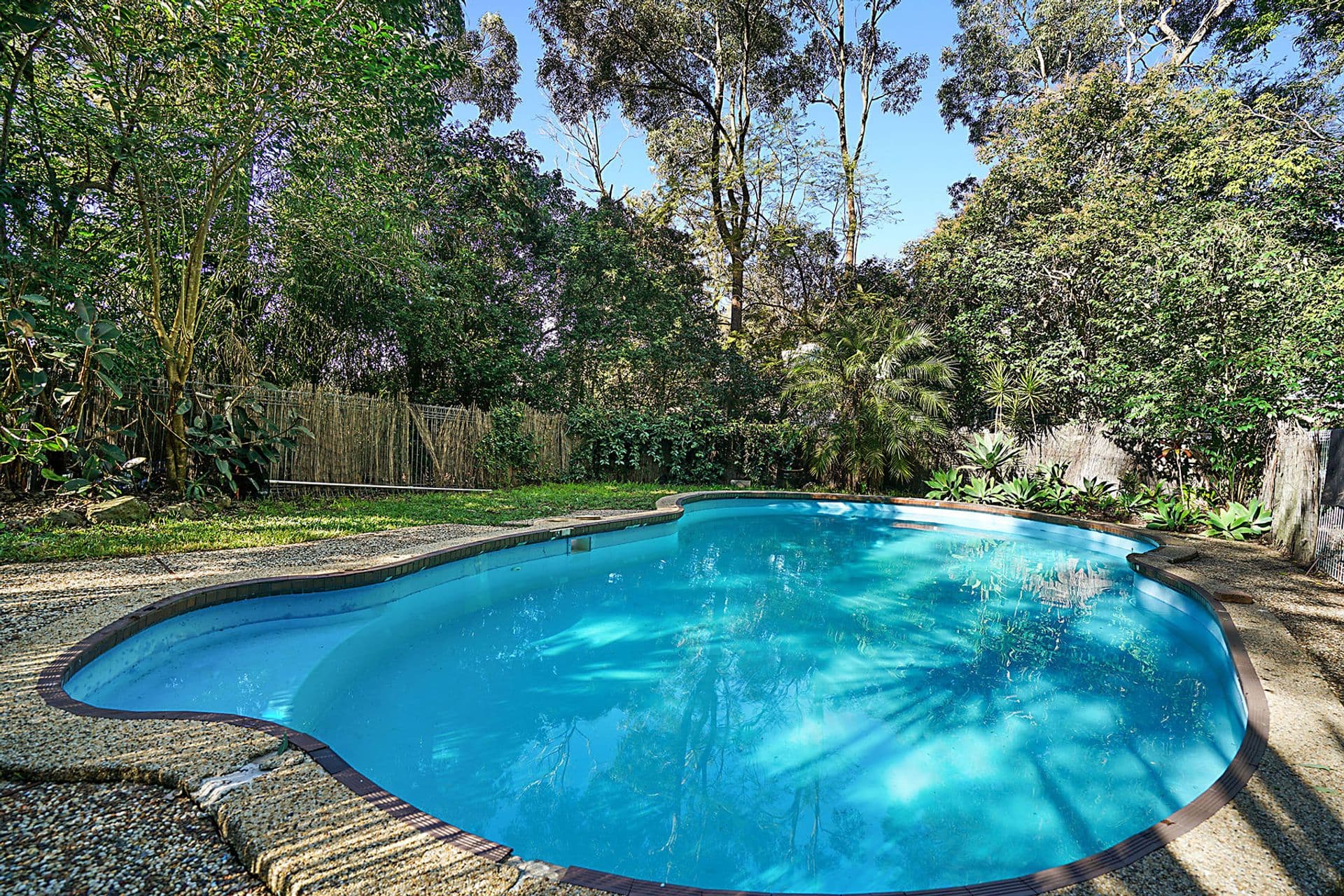 349 Park Avenue, Kotara, NSW, 2289, Kotara - Thumbnail 6