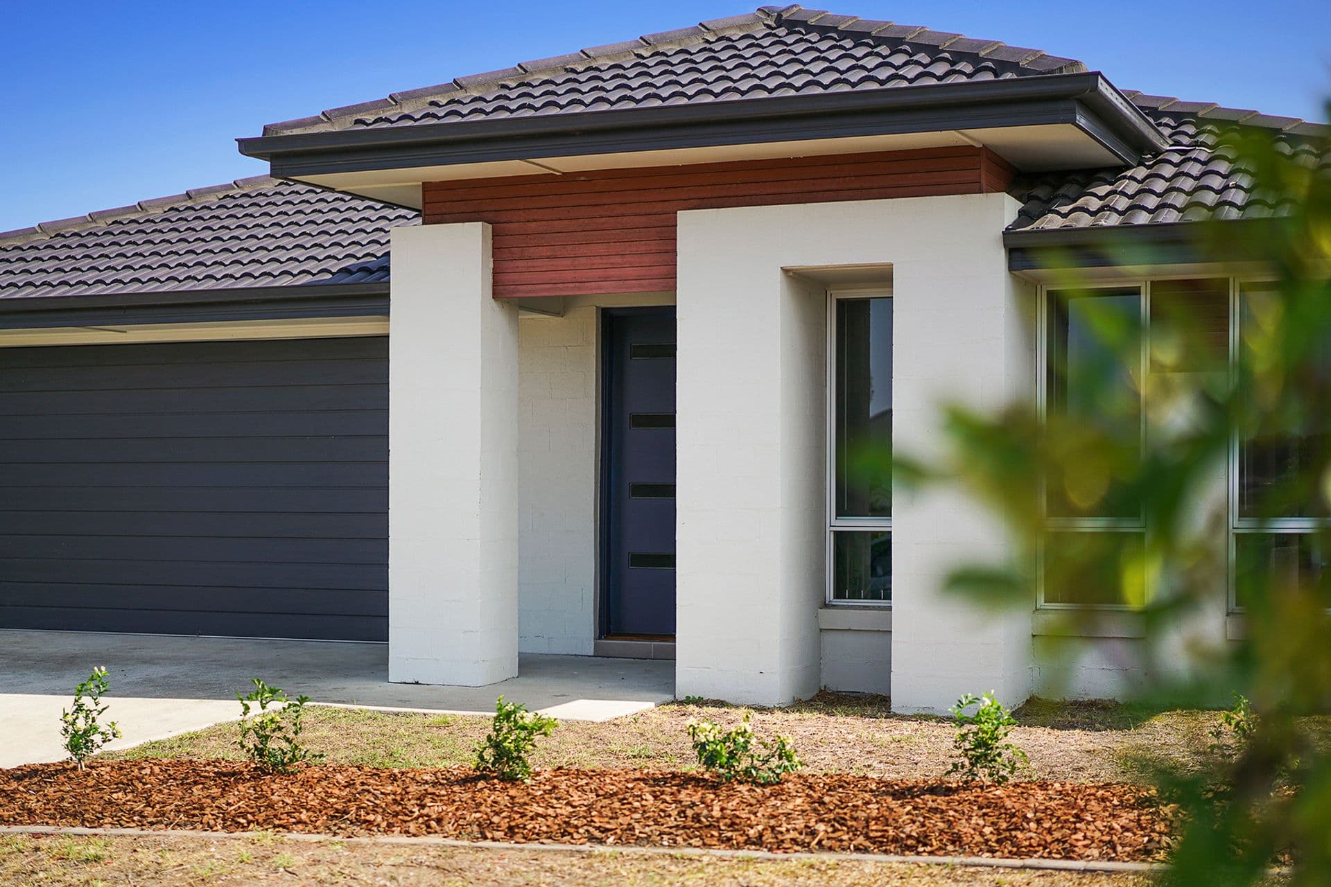 19 Tenyo Street, Cameron Park, NSW, 2285, Cameron Park - Thumbnail 2