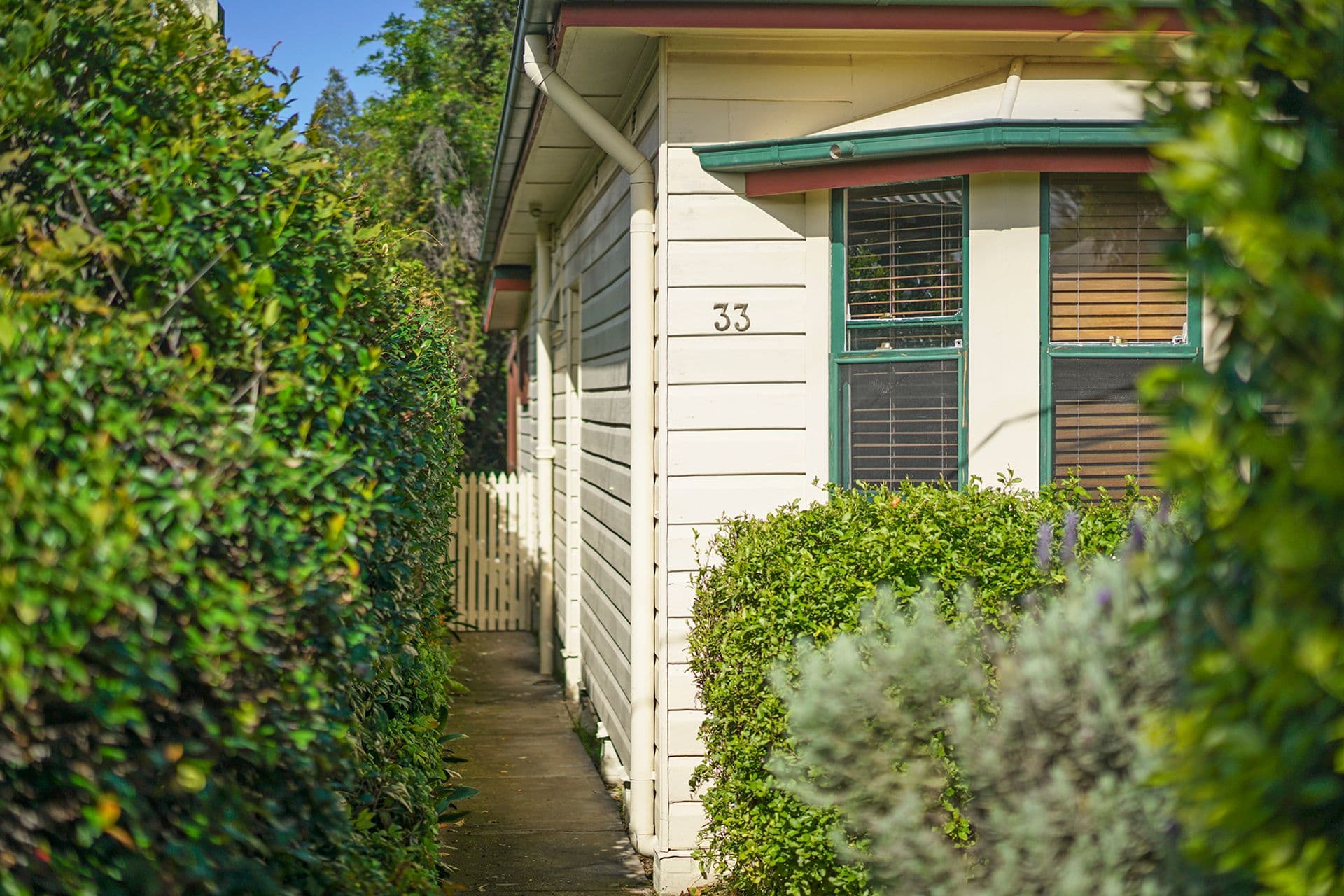 33 Tighe Street, Waratah, NSW, 2298, Waratah - Thumbnail 4