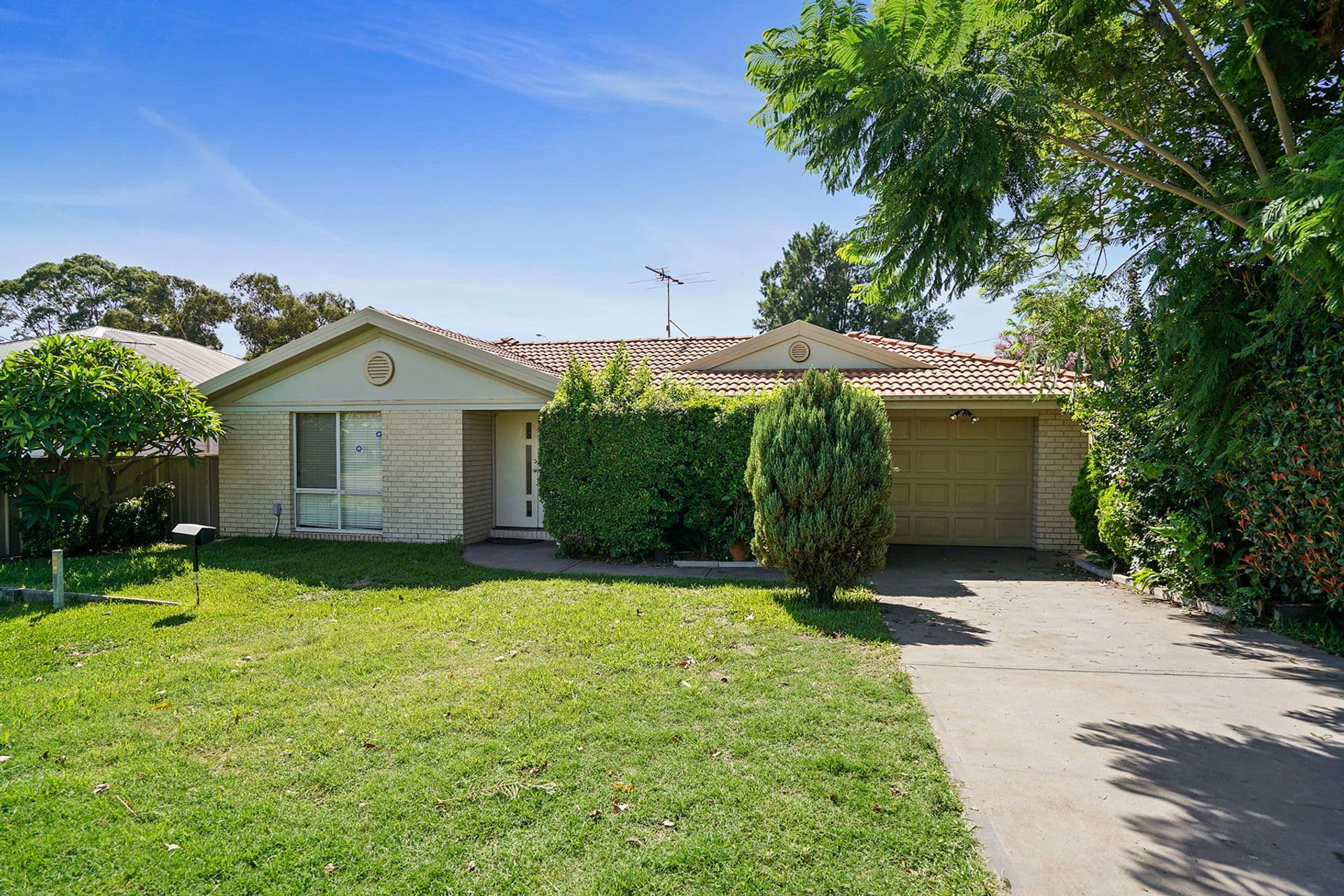 47 Rundle Avenue, Wallsend, NSW, 2287, Wallsend - Thumbnail 3