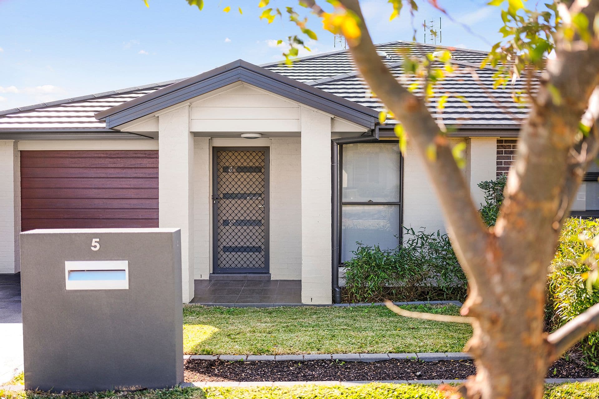 5 Snipe Street, Fletcher, NSW, 2287, Fletcher - Thumbnail 3