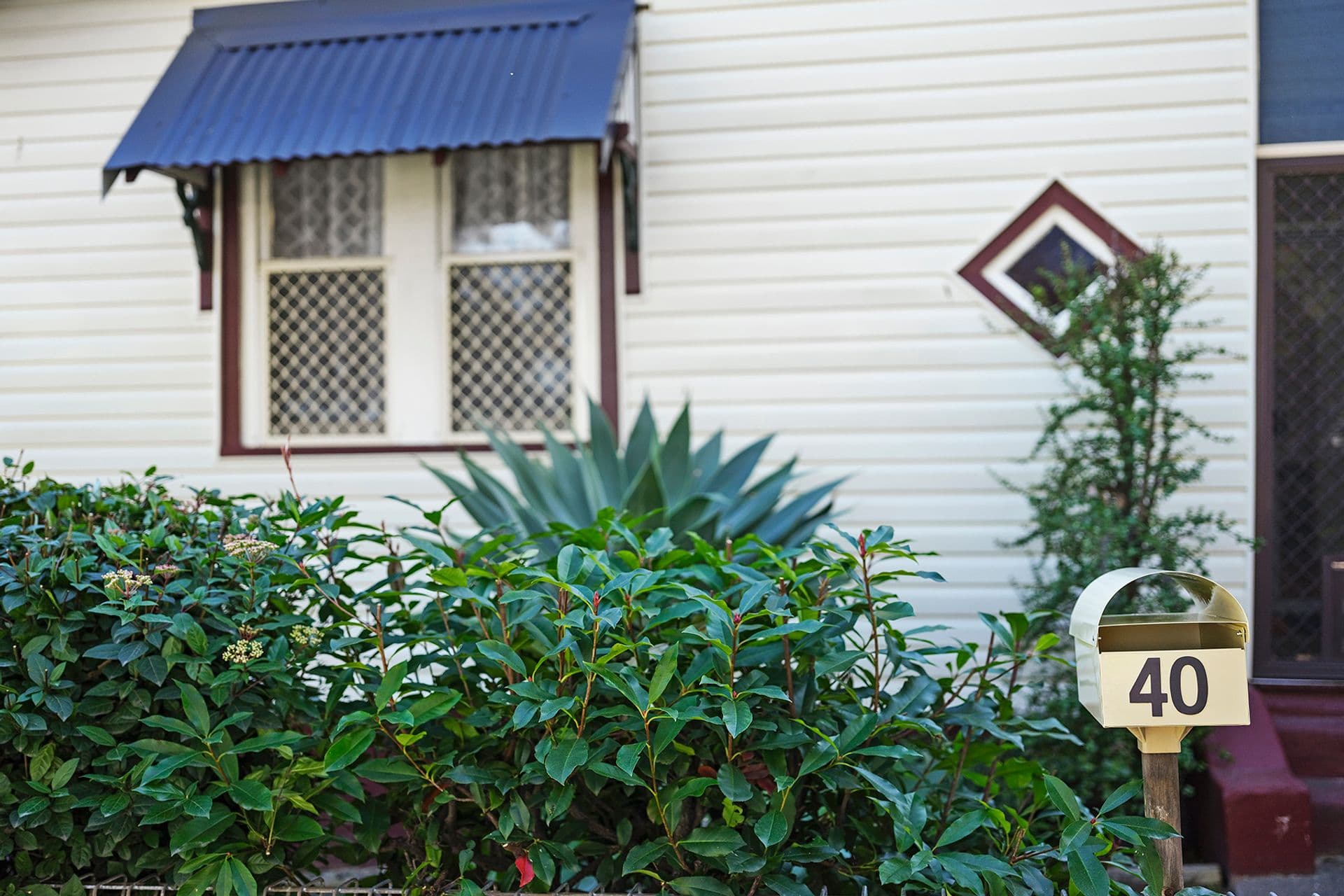 40 Gamack Street, Mayfield, NSW, 2304, Mayfield - Thumbnail 3