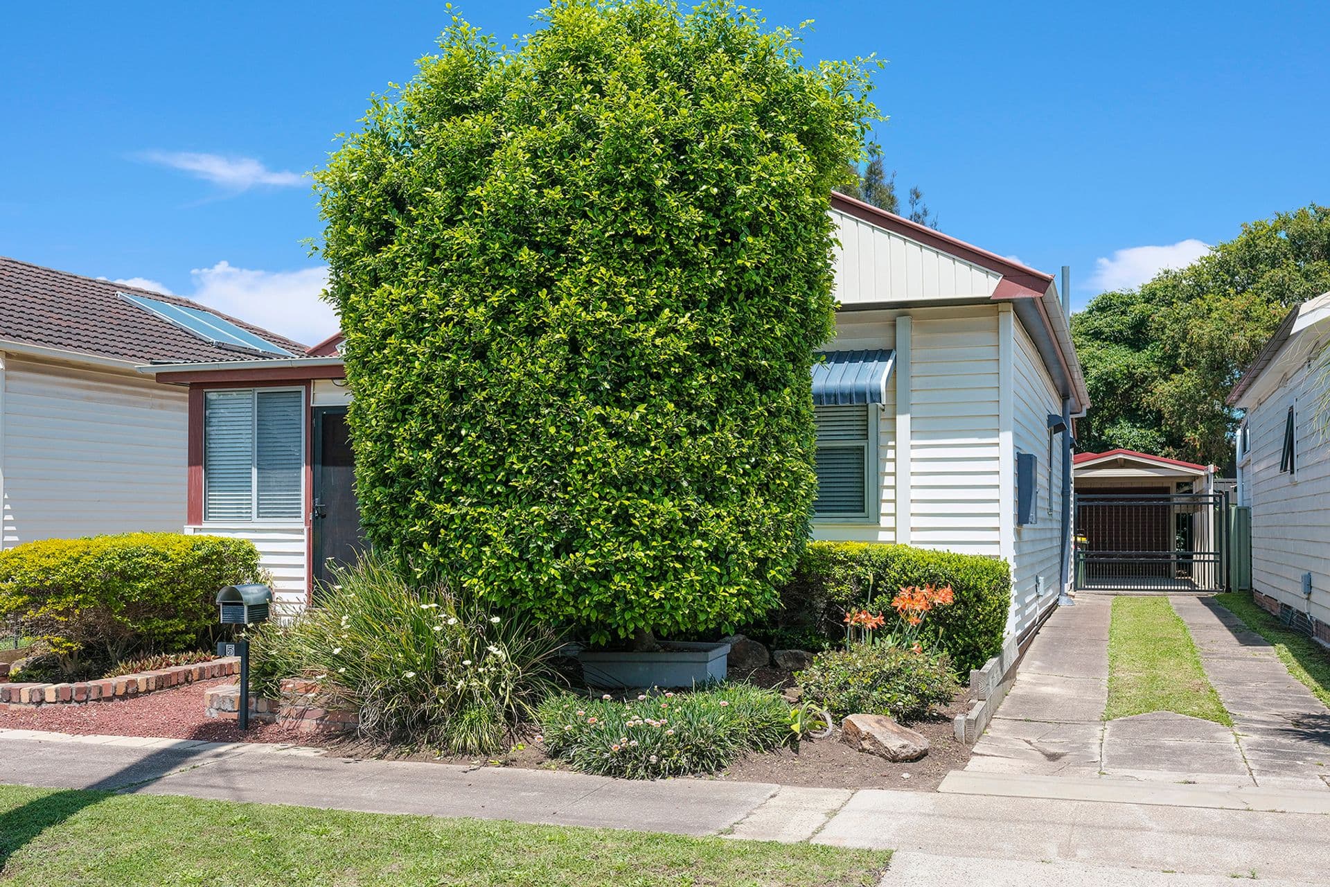 5 Bourke Street, Mayfield, NSW, 2304, Mayfield - Thumbnail 2
