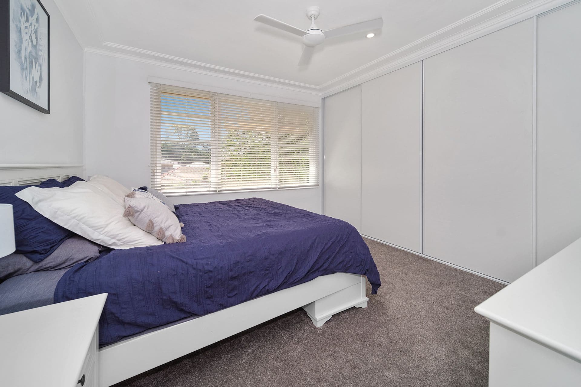 41 Claremont Avenue, Adamstown Heights, NSW, 2289, Adamstown Heights - Thumbnail 7