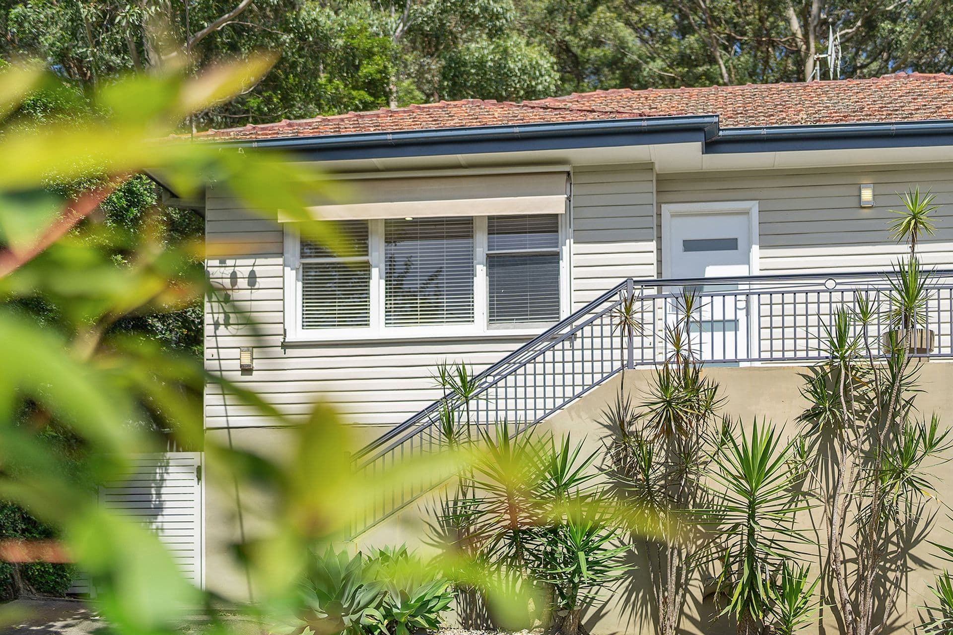 41 Claremont Avenue, Adamstown Heights, NSW, 2289, Adamstown Heights - Thumbnail 2
