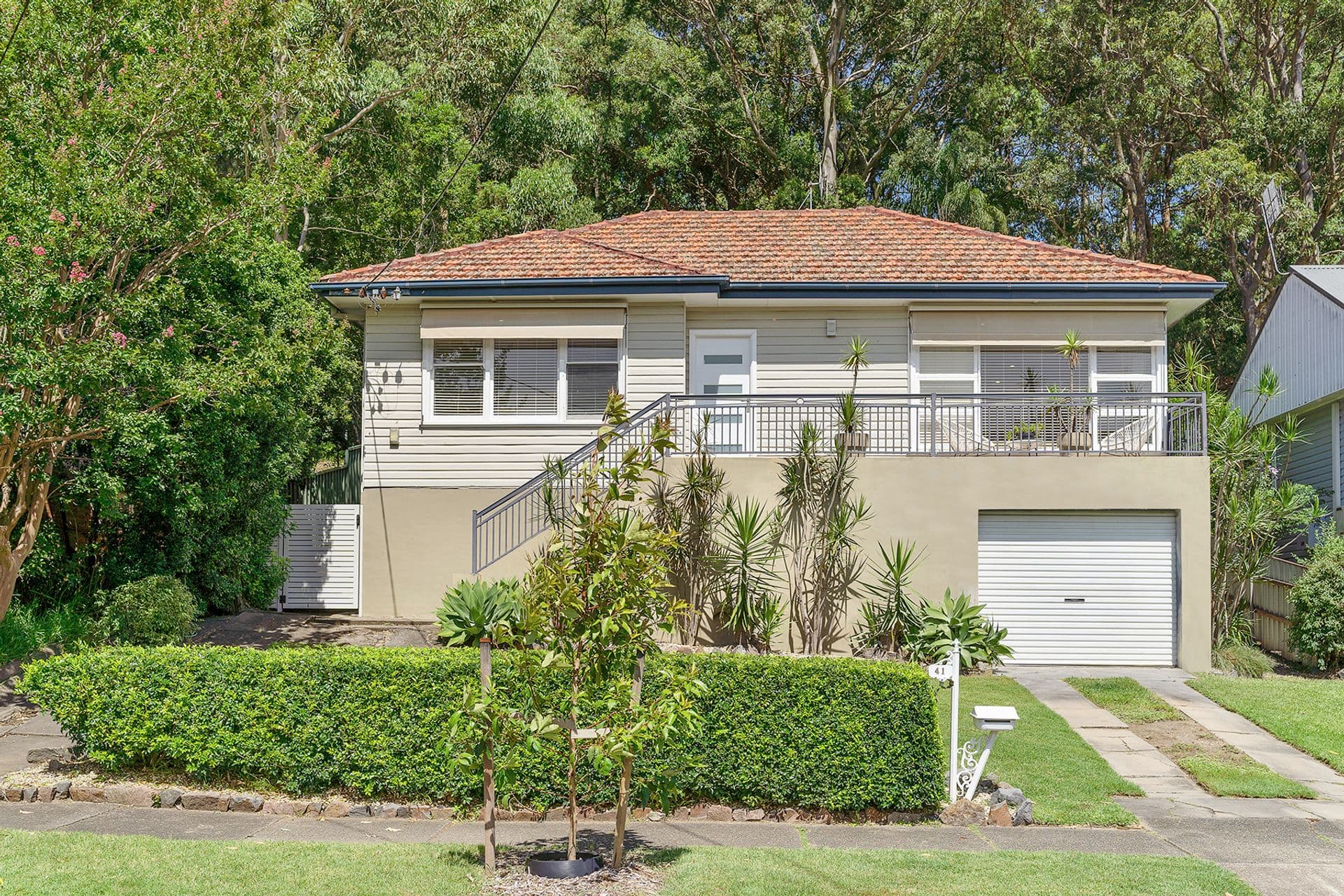 41 Claremont Avenue, Adamstown Heights, NSW, 2289, Adamstown Heights - Image 1