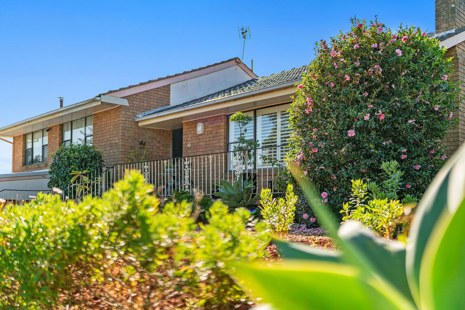 16 Vardon Road, Fern Bay, NSW, 2295, Fern Bay - Thumbnail 2