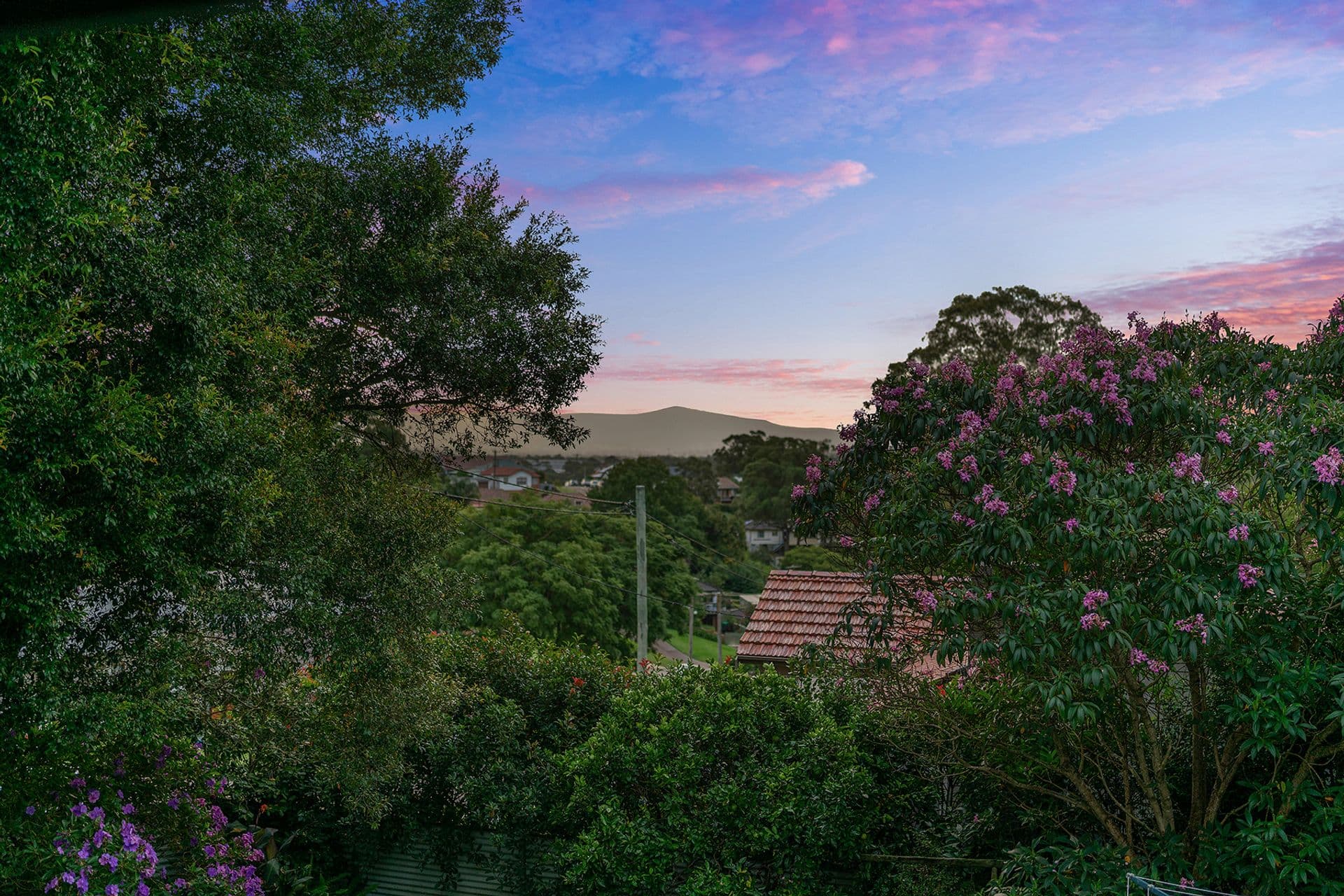 247 Main Road, Cardiff, NSW, 2285, Cardiff - Thumbnail 6