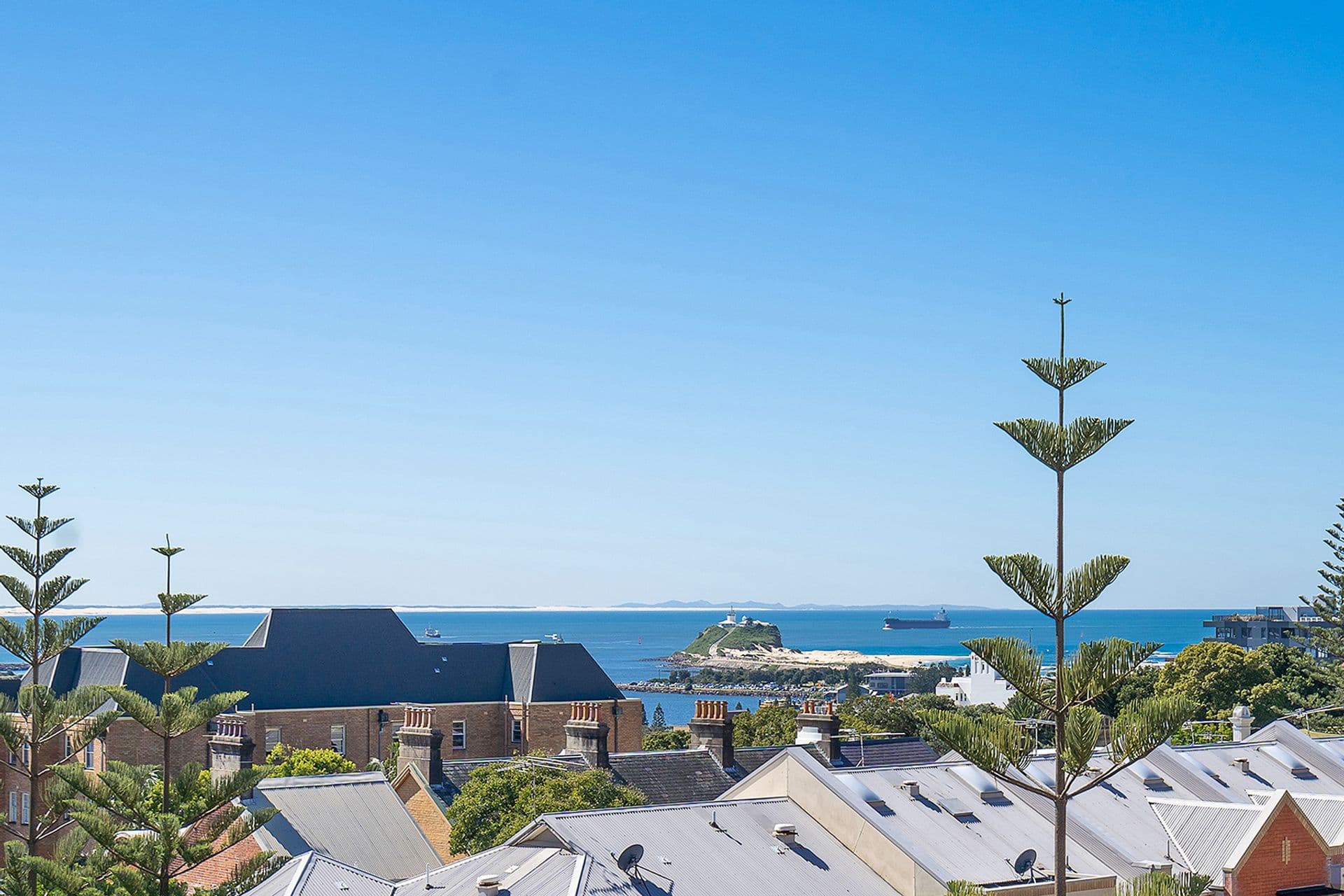56 Perkins Street, The Hill, NSW, 2300, The Hill - Thumbnail 5