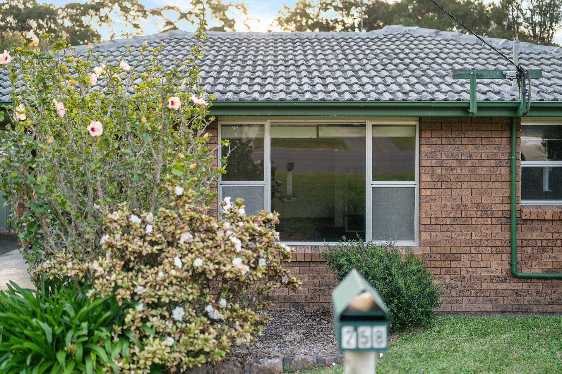 258 Park Avenue, Kotara, NSW, 2289, Kotara - Thumbnail 2