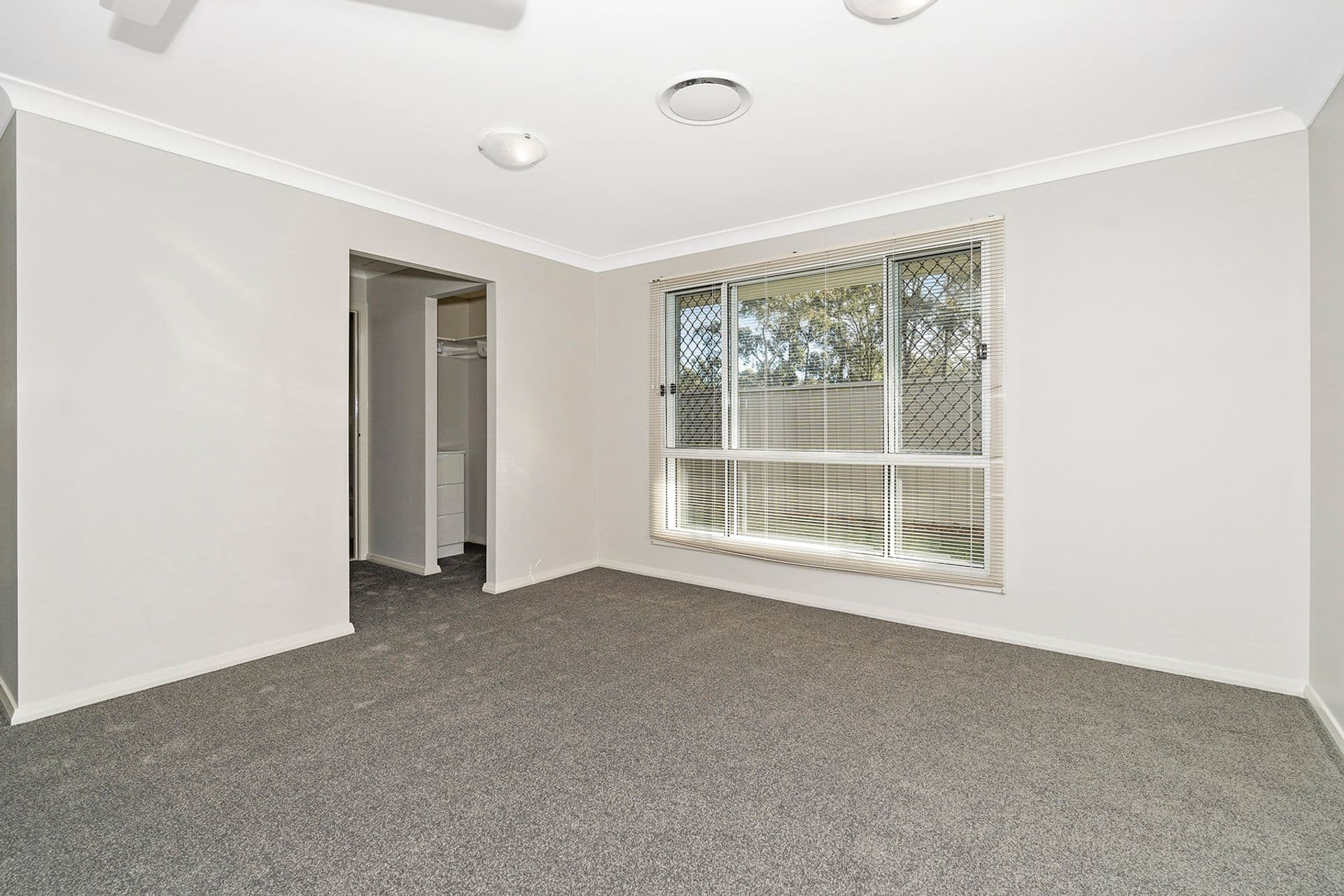 18 Moxey Close, Raymond Terrace, NSW, 2324, Raymond Terrace - Thumbnail 5