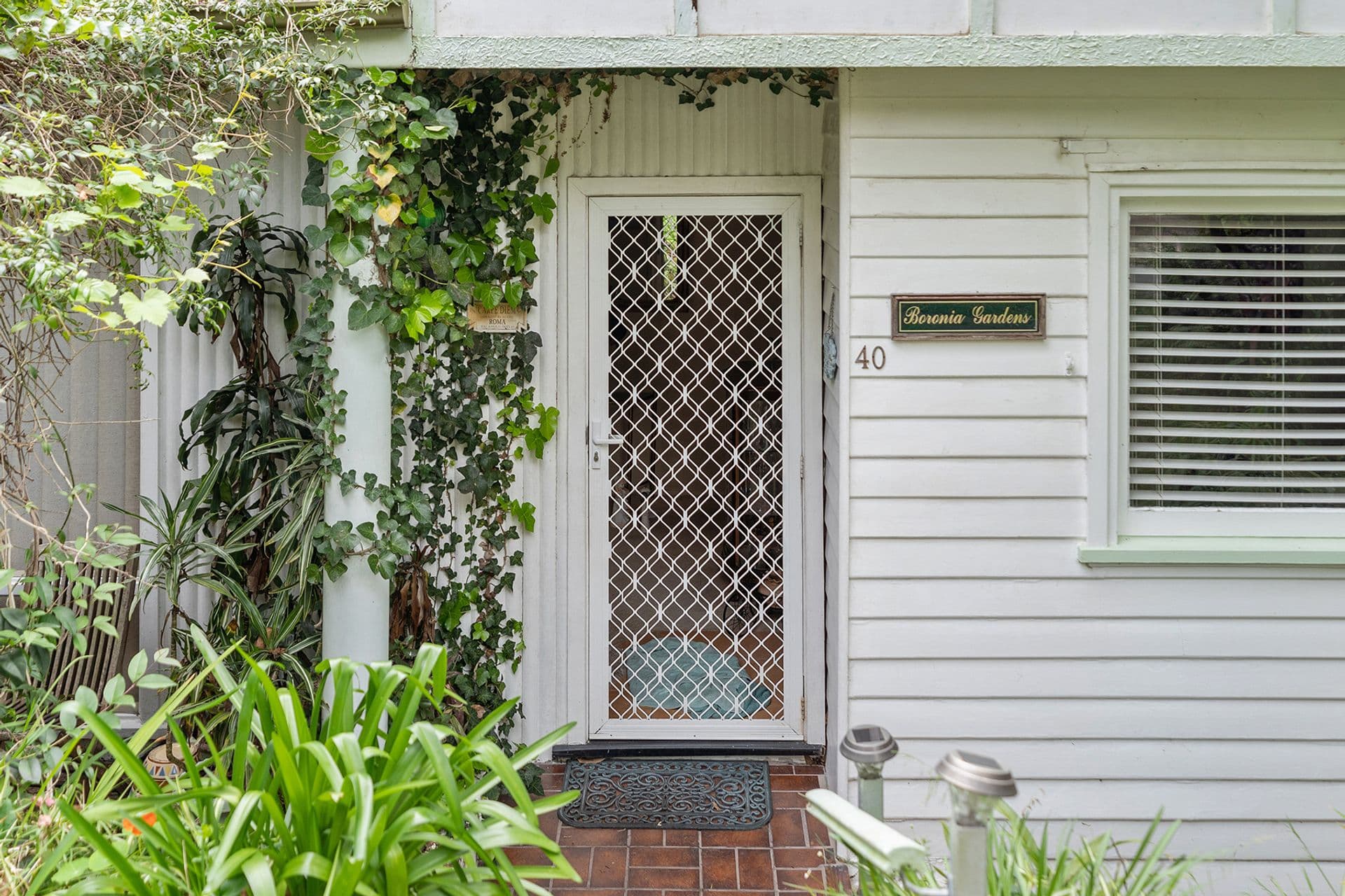 40 Boronia Avenue, Adamstown Heights, NSW, 2289, Adamstown Heights - Thumbnail 3