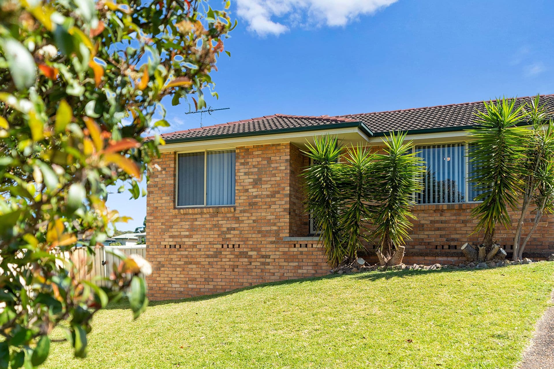 23 Katie Place, Tingira Heights, NSW, 2290, Windale - Thumbnail 2