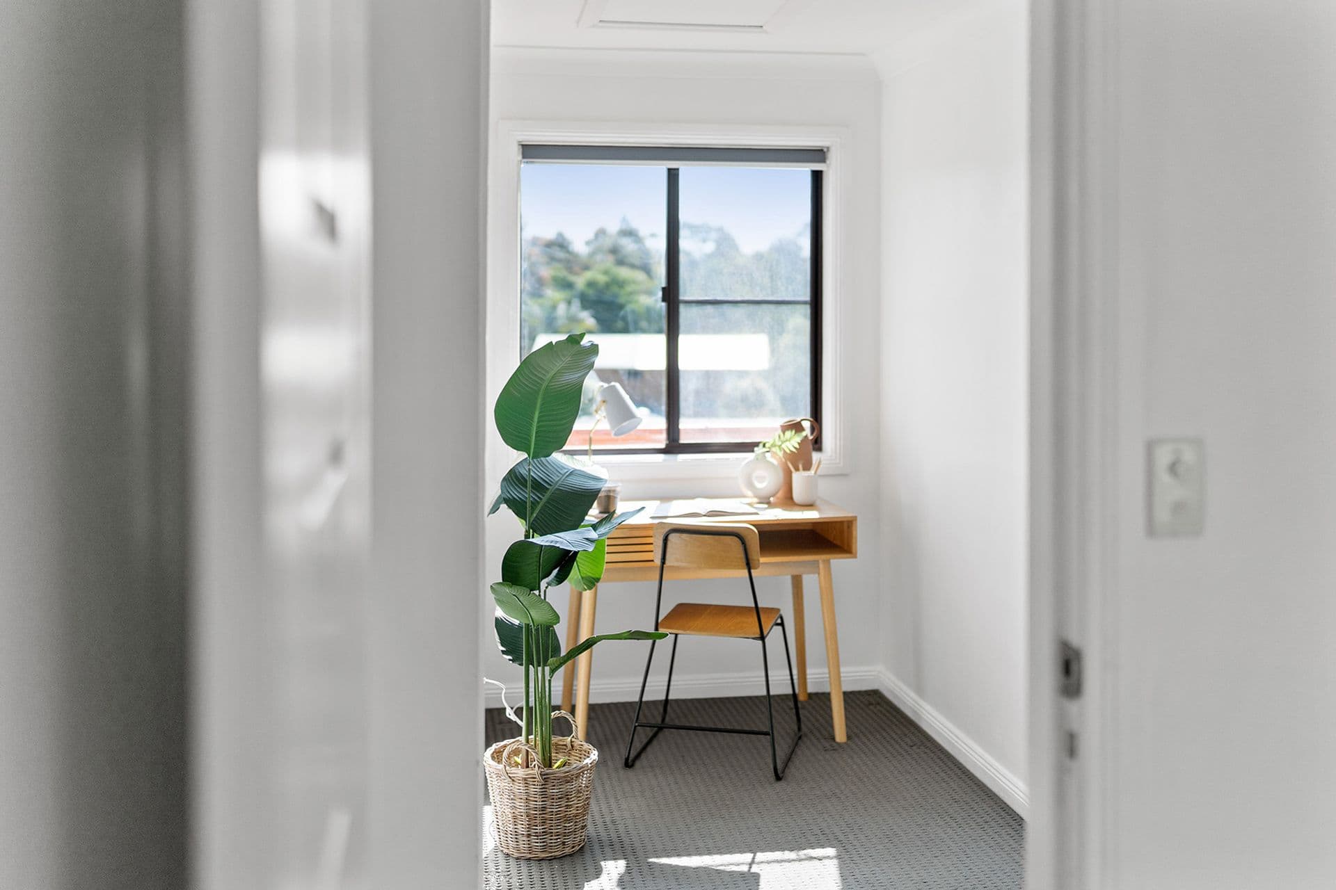 24 Evatt Street, Pelaw Main, NSW, 2327, Pelaw Main - Thumbnail 8