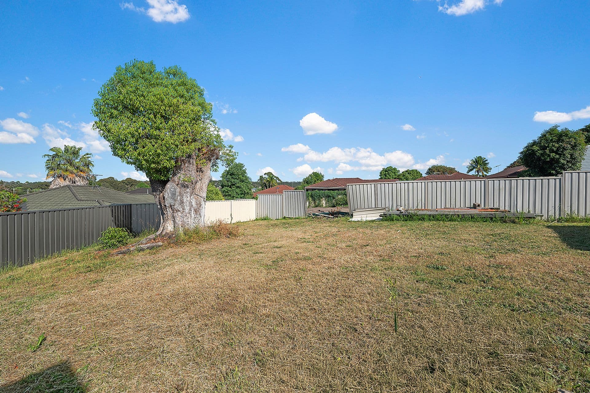 42 Cardiff Road, Wallsend, NSW, 2287, Wallsend - Thumbnail 2