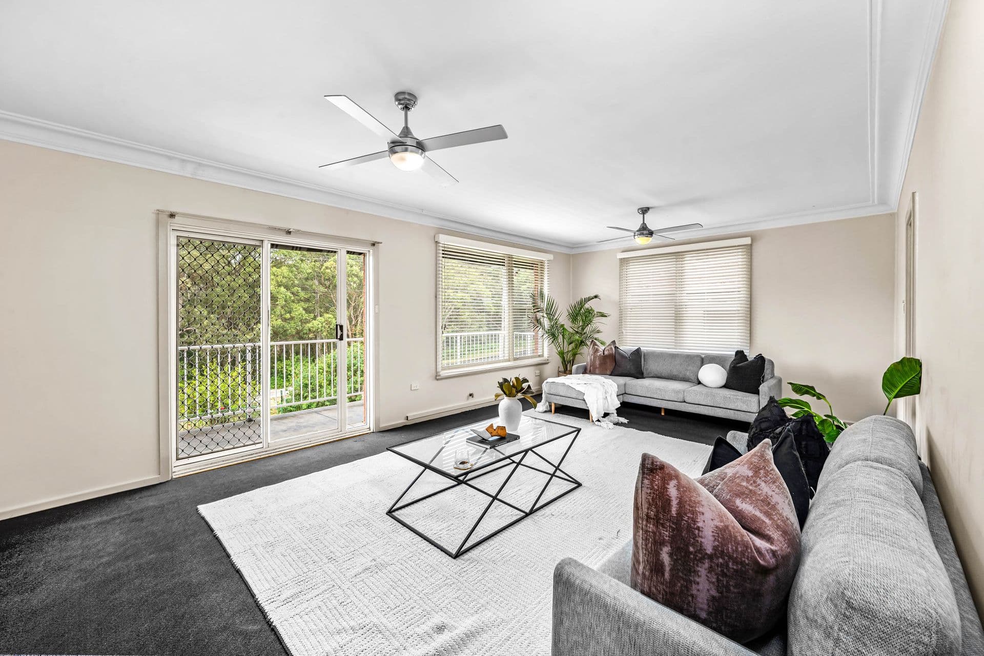 434 Brunker Road, Adamstown Heights, NSW, 2289, Adamstown Heights - Thumbnail 6