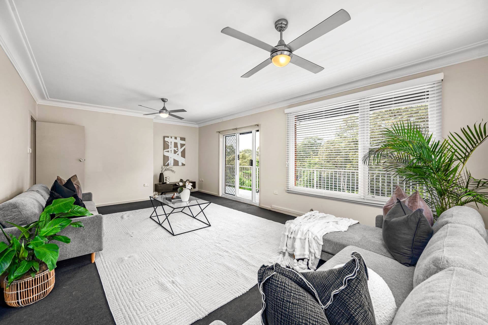 434 Brunker Road, Adamstown Heights, NSW, 2289, Adamstown Heights - Thumbnail 8